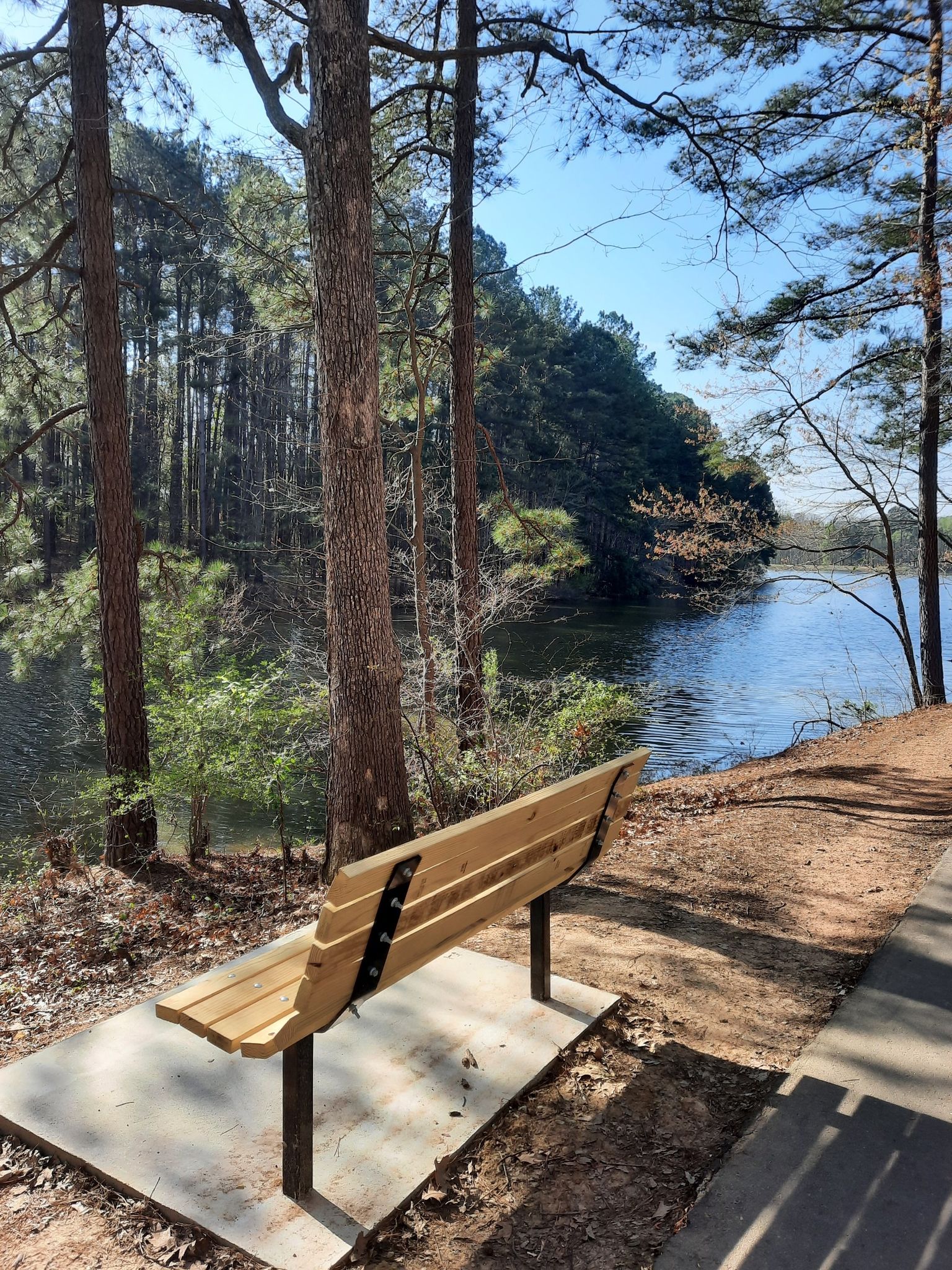 A new wooden bench sits on a dirt path beside a lake and tall trees. - Apex Community Lake Trail