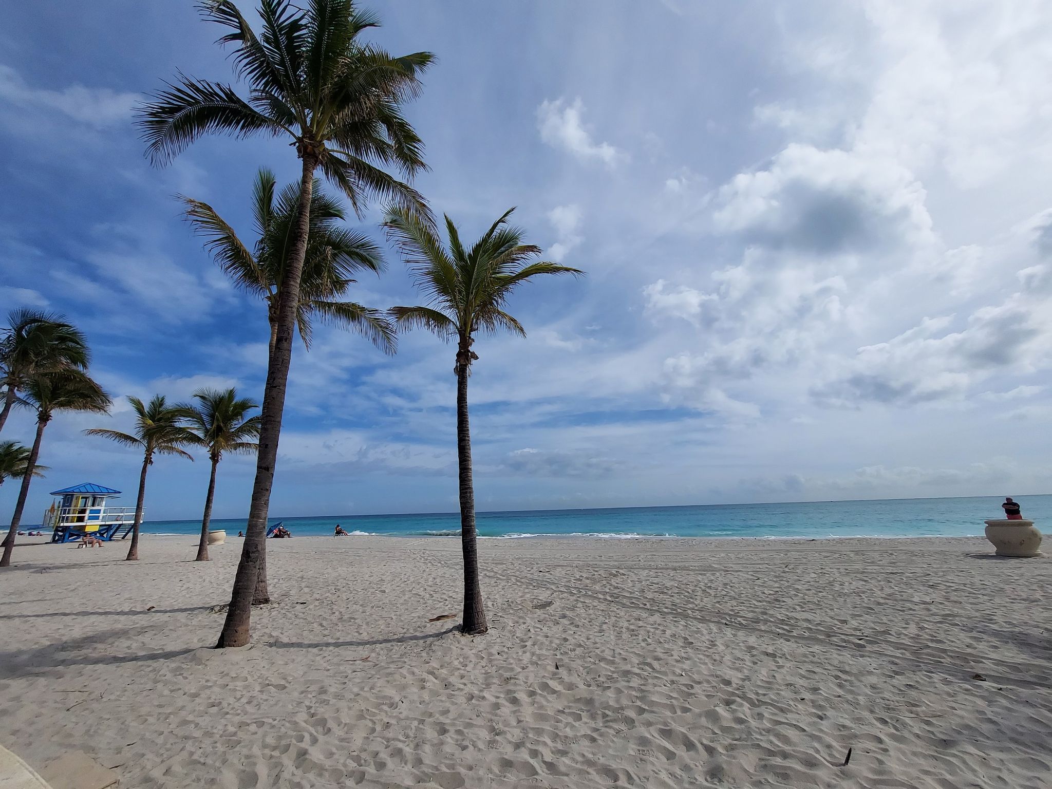 Wide sandy beach with palm trees, blue ocean, and cloudy sky. - Hollywood Boardwalk
