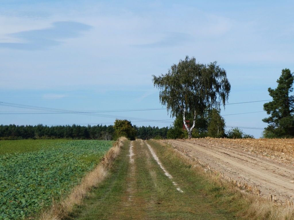 am Molkenberg bei Radewege