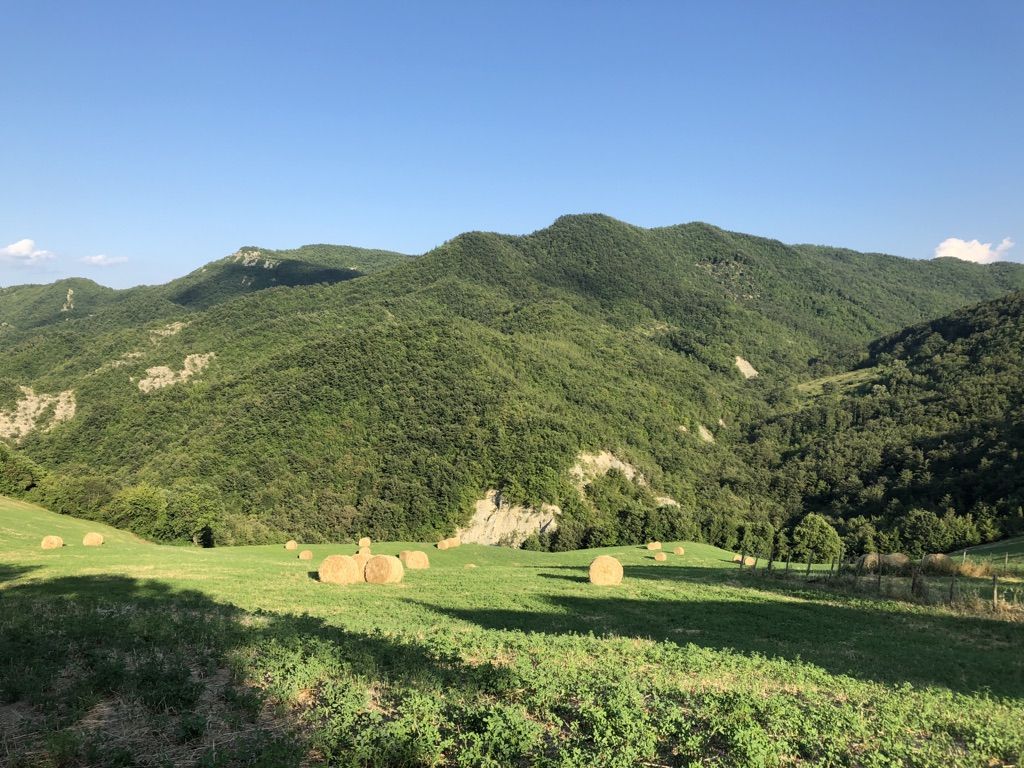 Enjoy the view