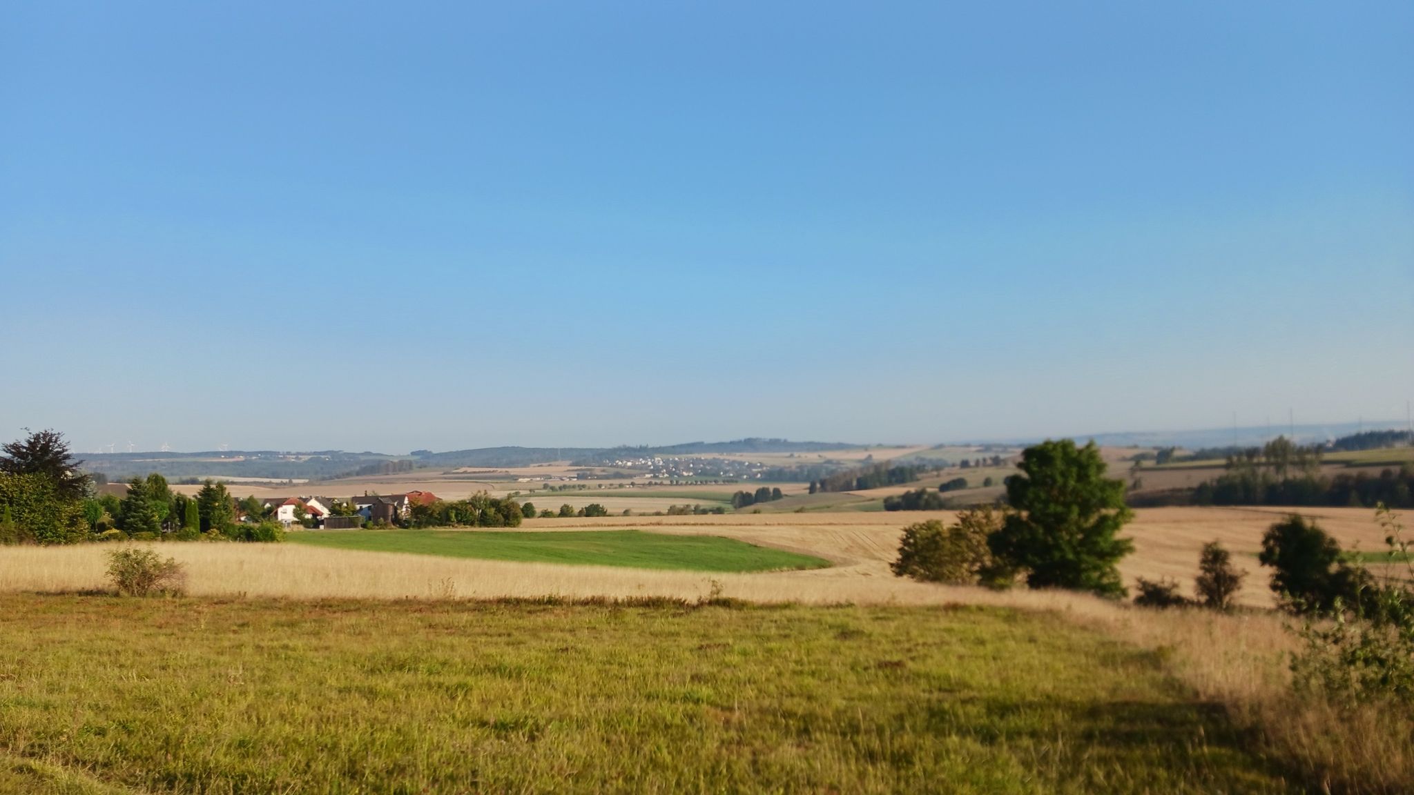 Ausblick - zw. Hohensaas u. Wölbattendorf
