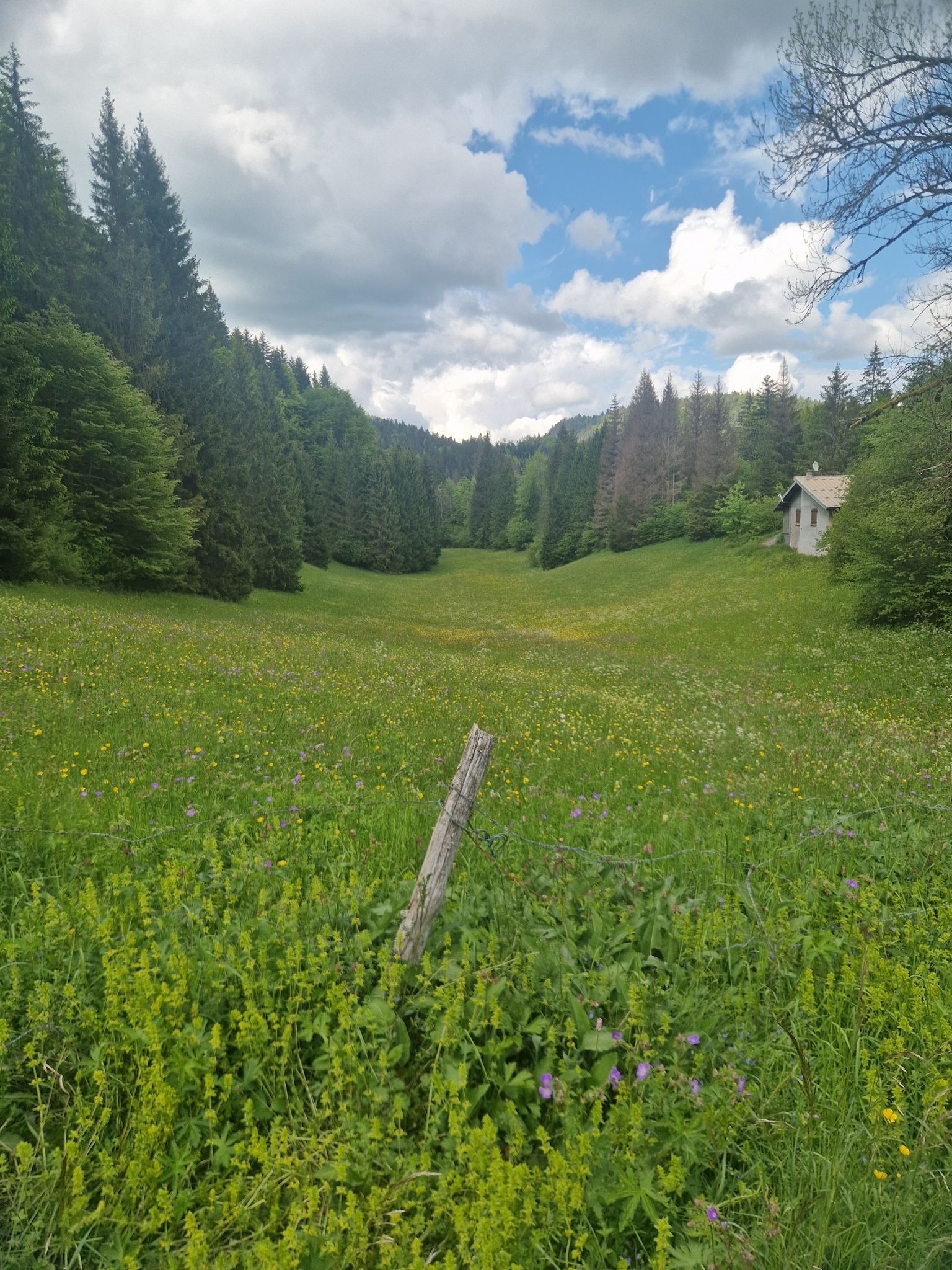 Petite Vallée