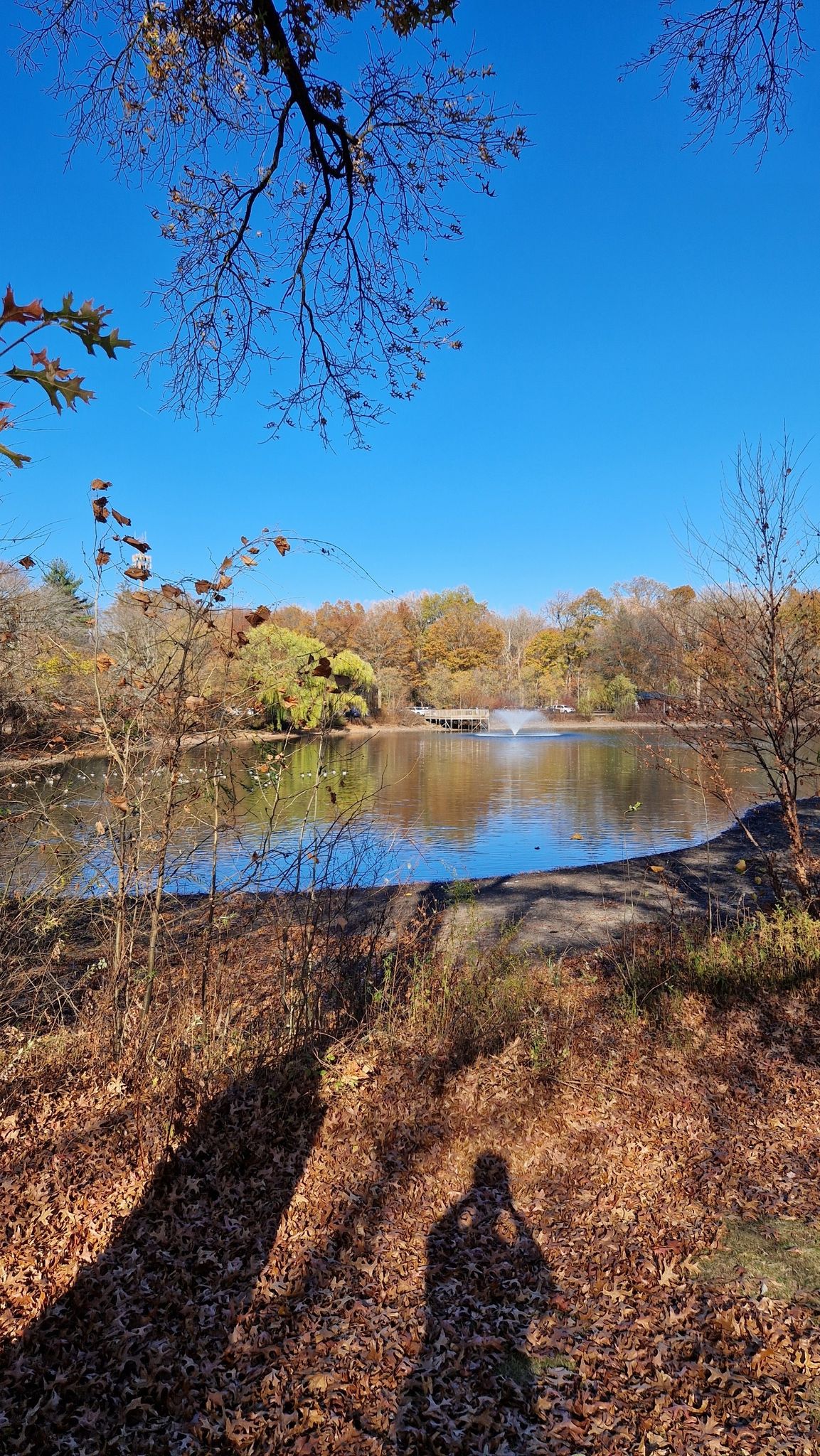 Sunny autumn day by a pond with a fountain, long shadow on fallen leaves. - Glen Rock Duck Pond Pathway