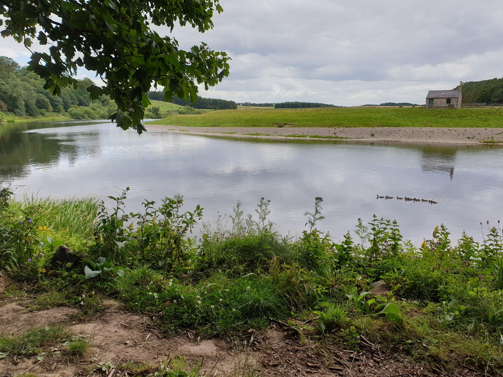 Stop for a snack on the Tweed