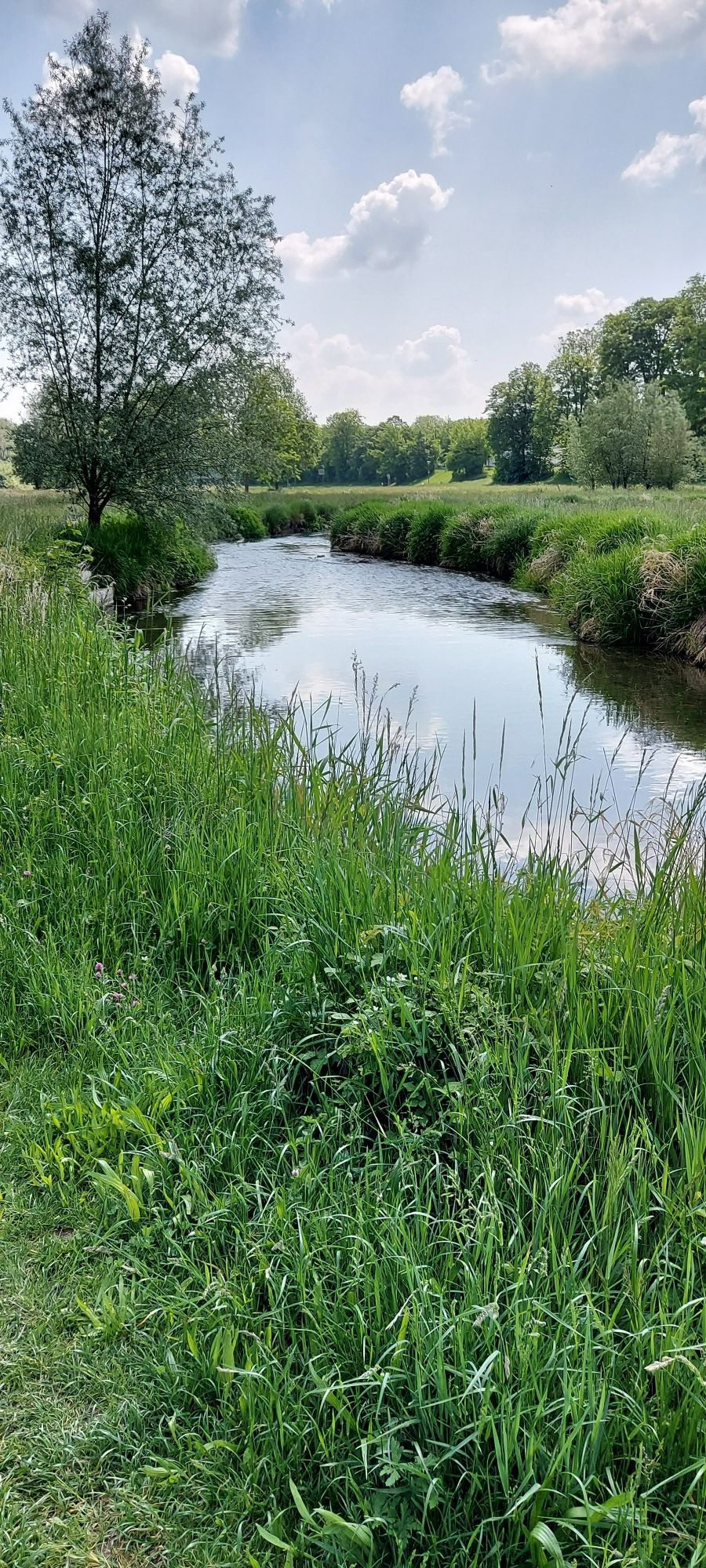 Flutmulde Landshut
