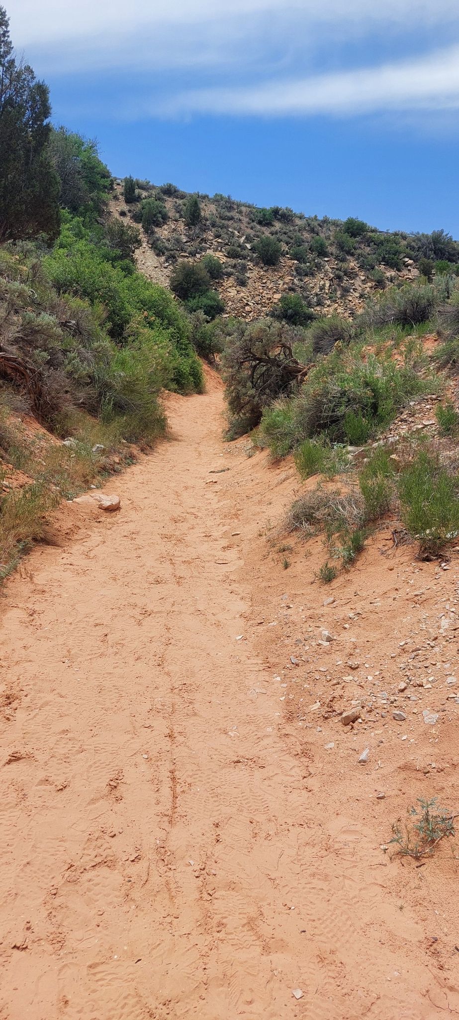 Sandy path winding uphill between green bushes under a blue sky. - Belly of the Dragon Tunnel loop from Mount Carmel Junction