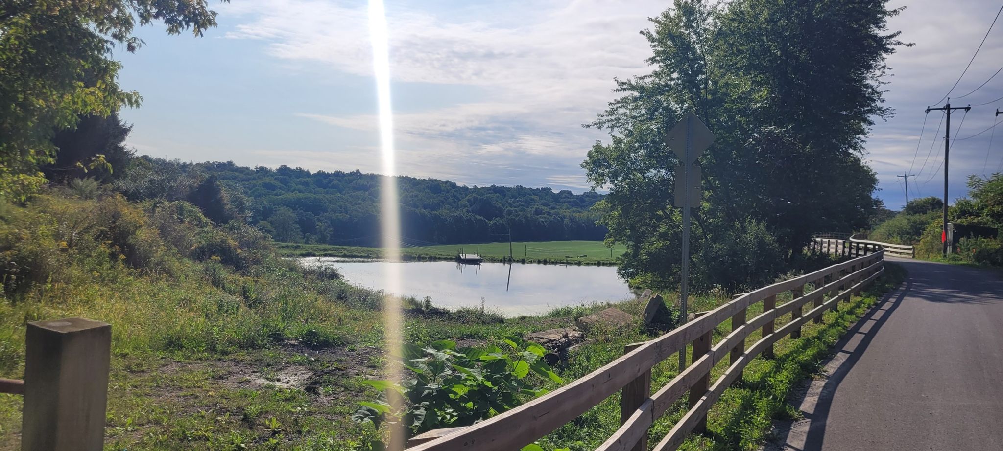 Sunny view of a pond next to a road with a wooden fence. - Albany-Hudson Electric Trail
