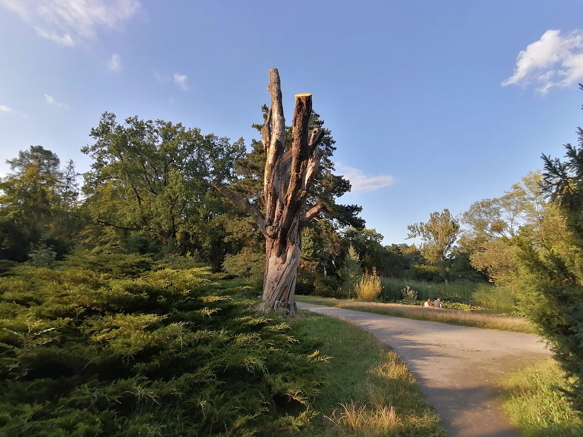 Park Poniatowskiego