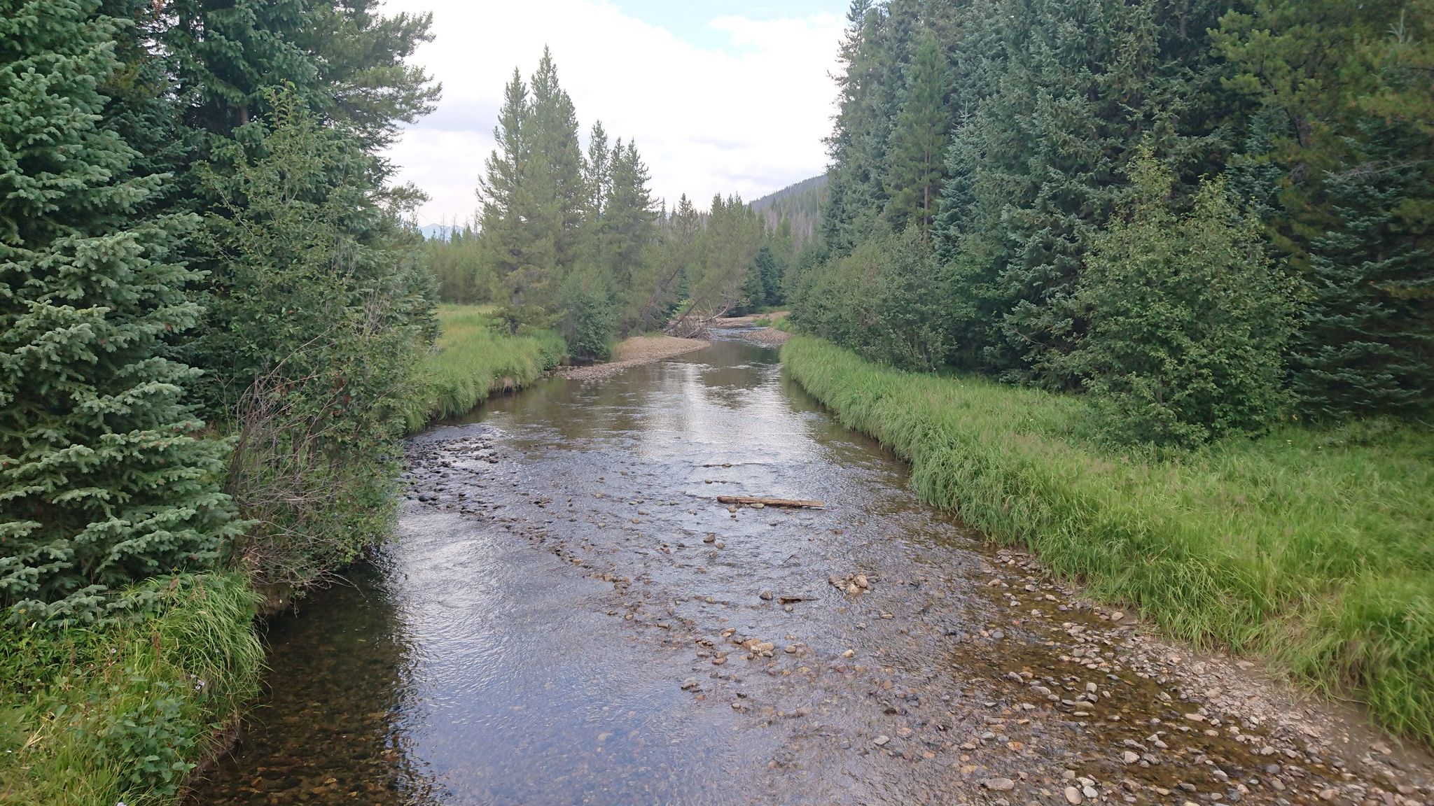 Young Colorado River