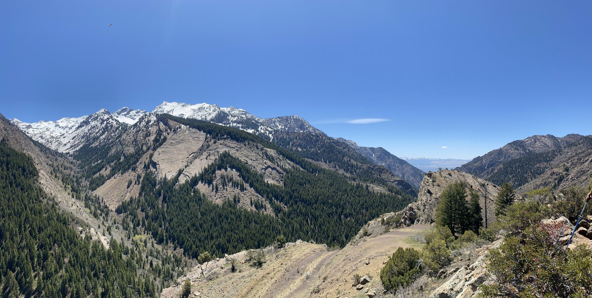 Panoramic view of snow-capped mountains and forested valleys under a clear blue sky. - Mill B North Fork Trail to Overlook
