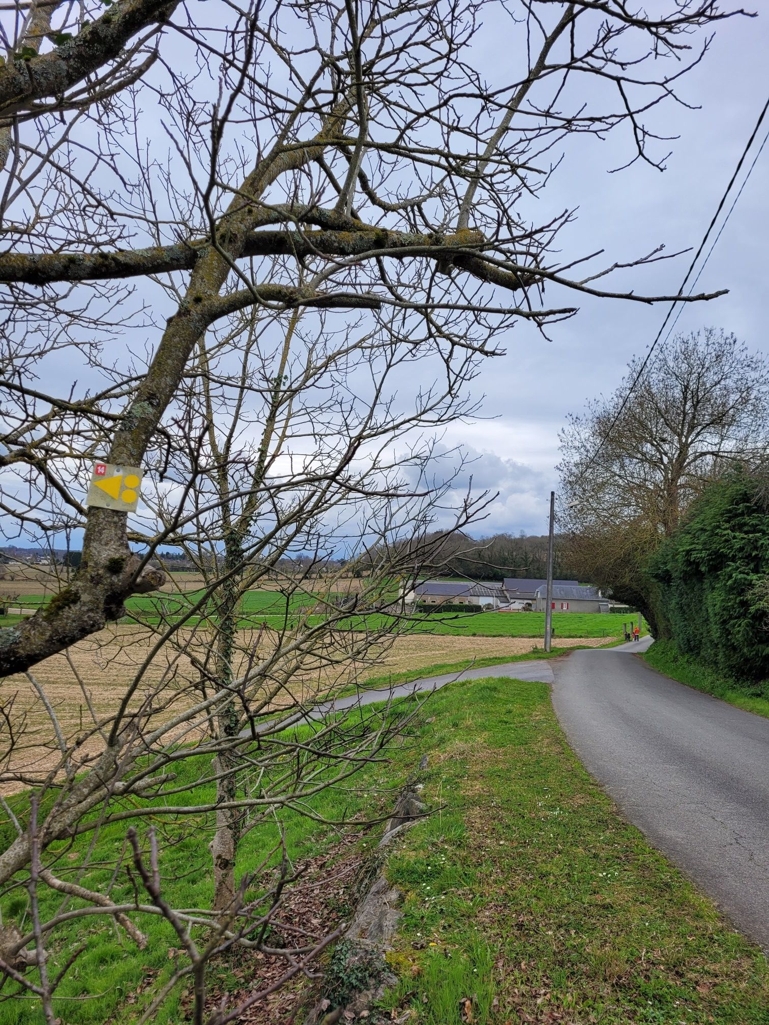 Les circuits VTT sont par ici très roulants...