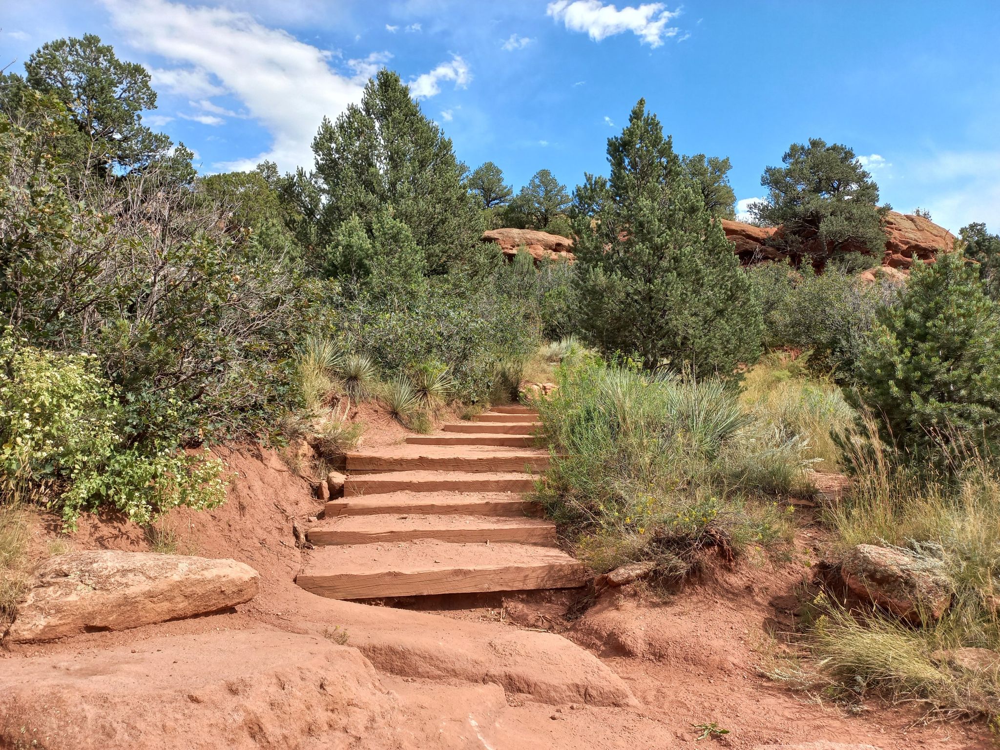 Uphill dirt steps winding through green trees and arid shrubs. - Siamese Twins Trail