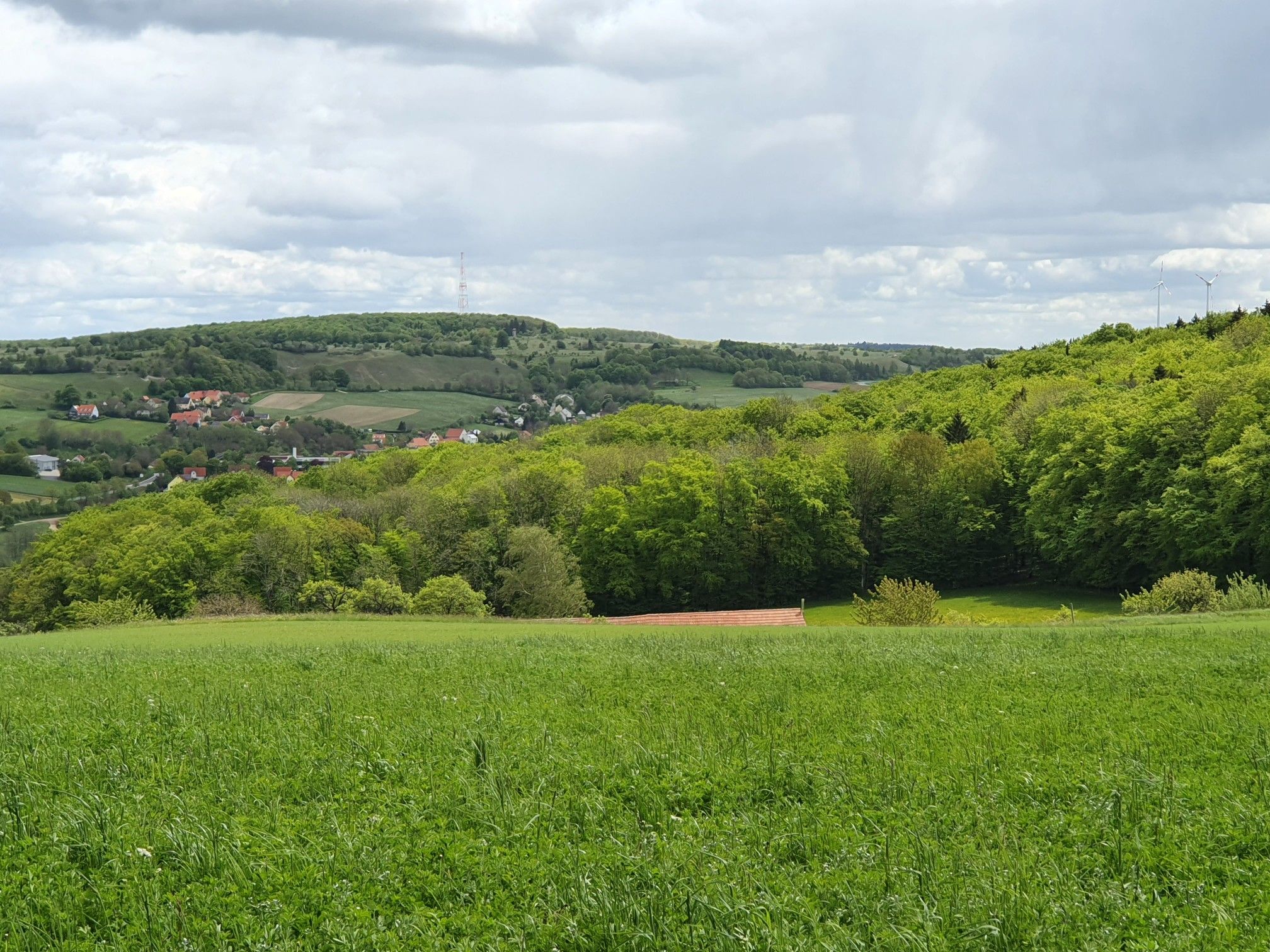 Weitblick