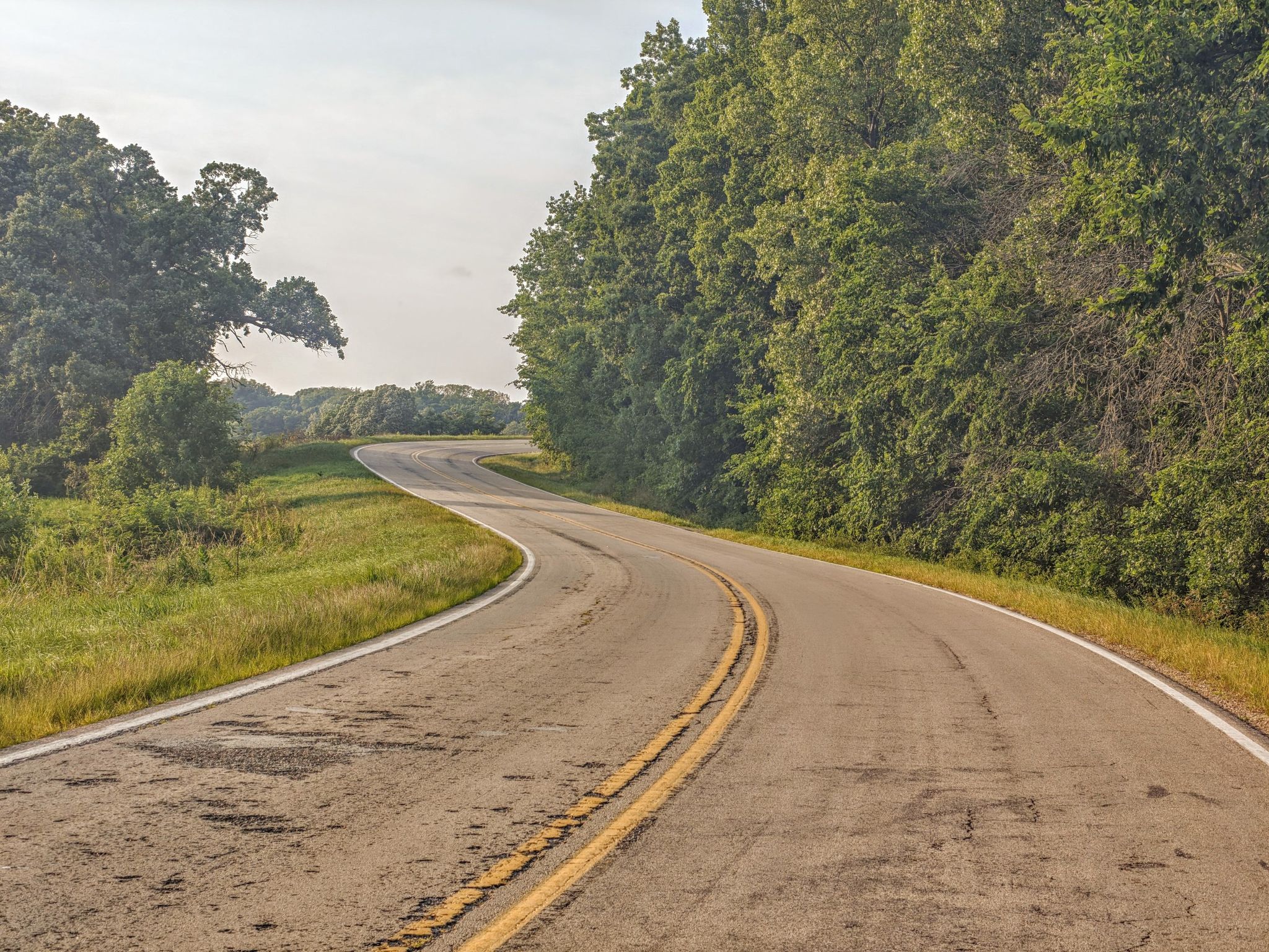 Winding paved road through green trees under a bright sky. - Sauk County loop