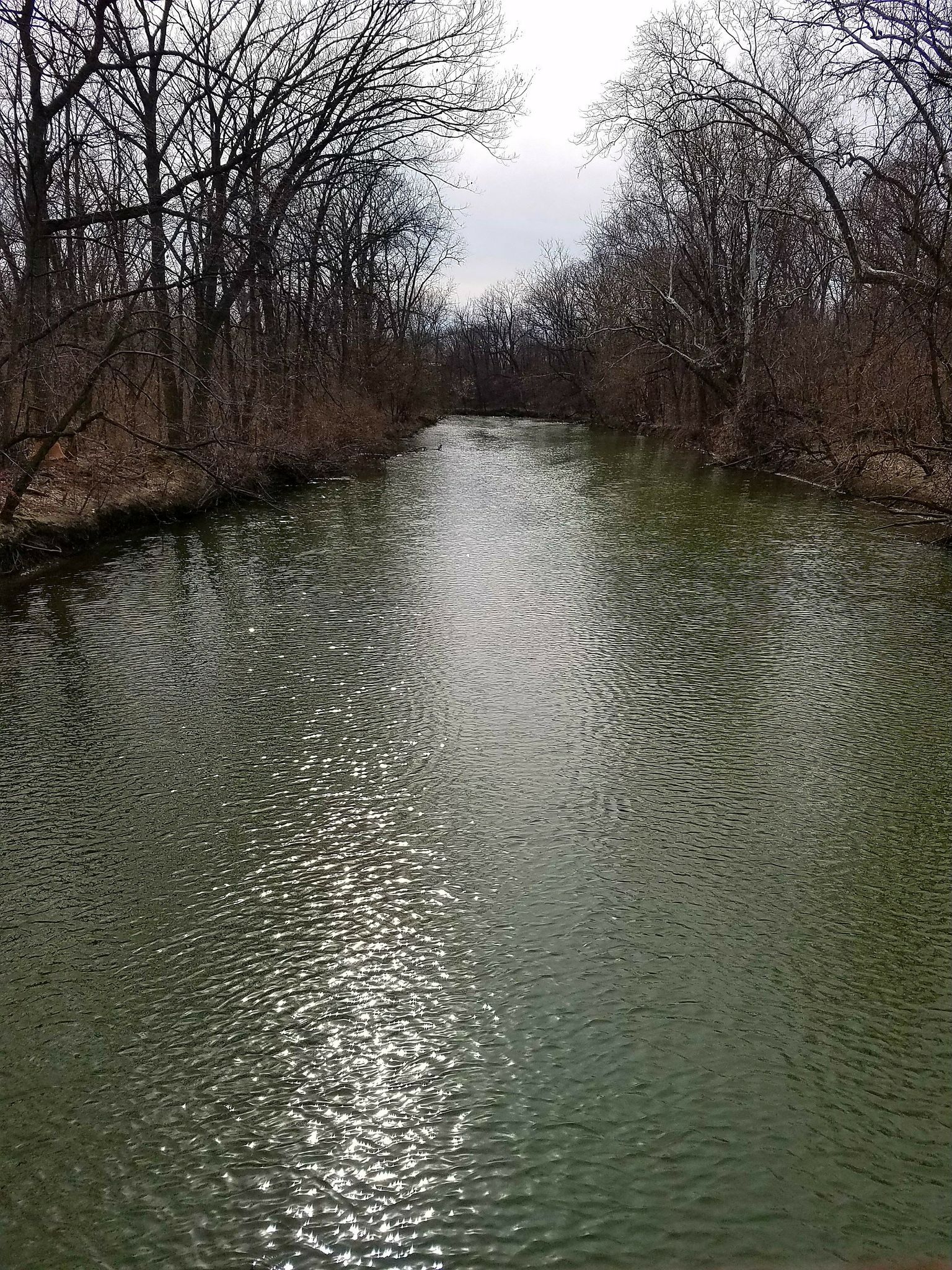 A narrow, dark green river flows between bare trees under a bright sky. - Rouge River Gateway Trail loop from Dearborn