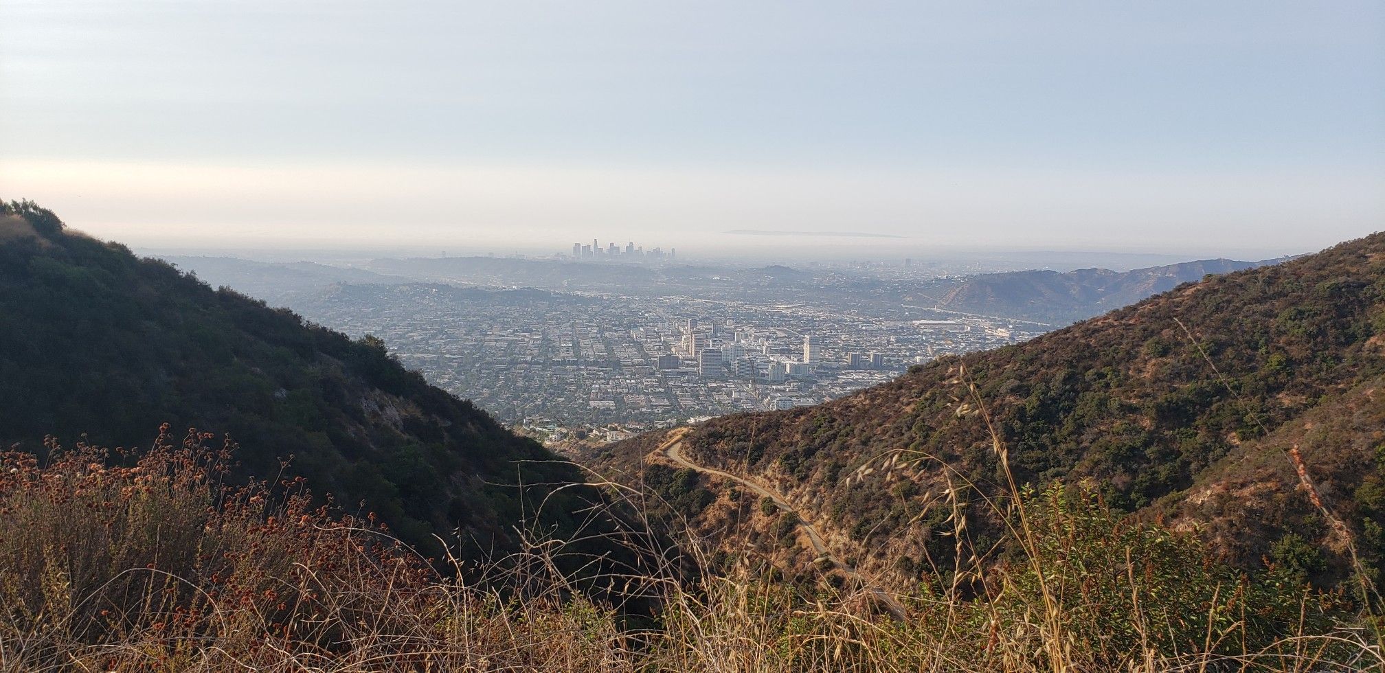 Distant city skyline visible through a valley between two brush-covered hills. - Mount Thom Viewpoint loop from Verdugo Mountains Open Space Preserve
