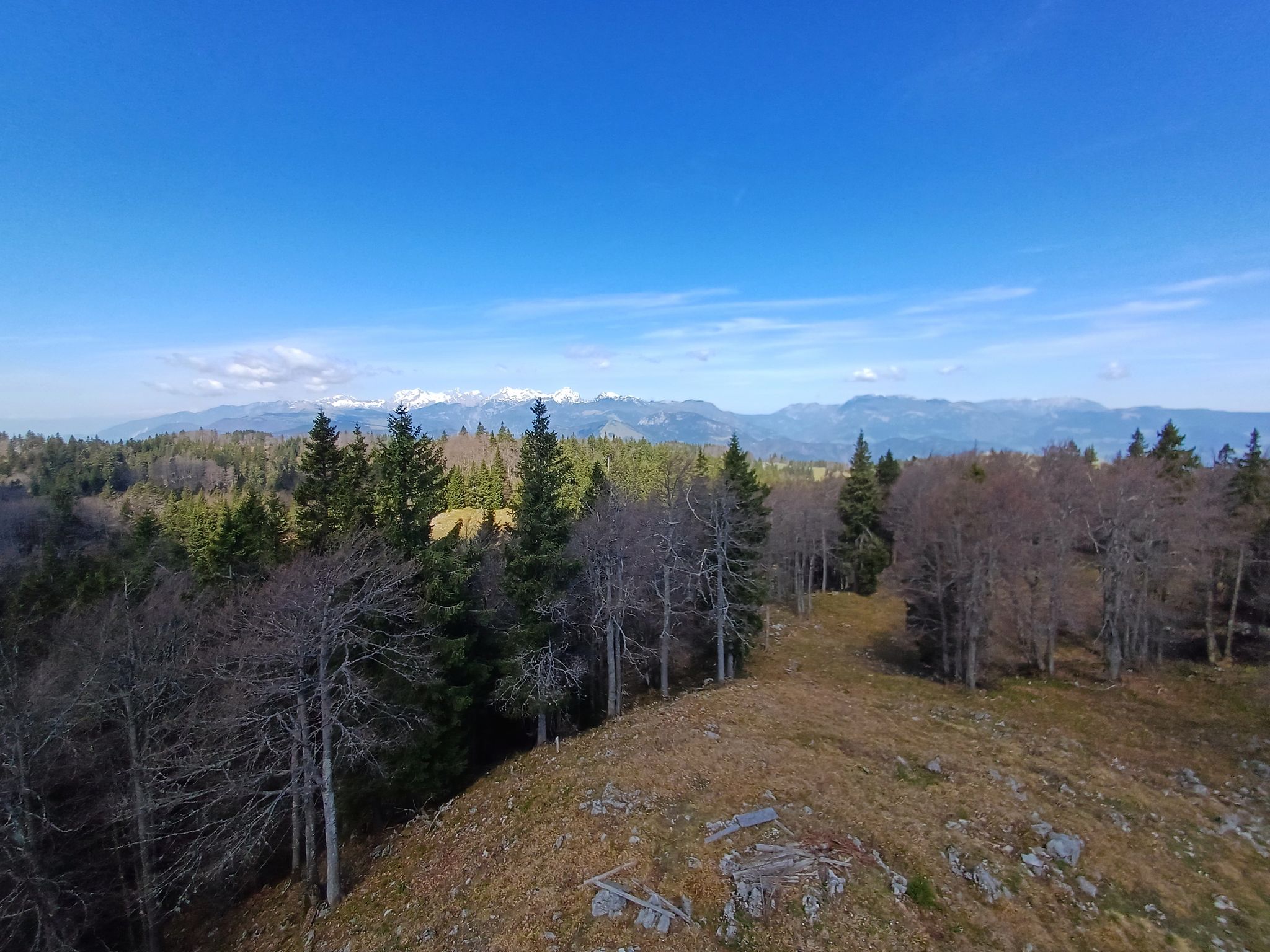 View from tower