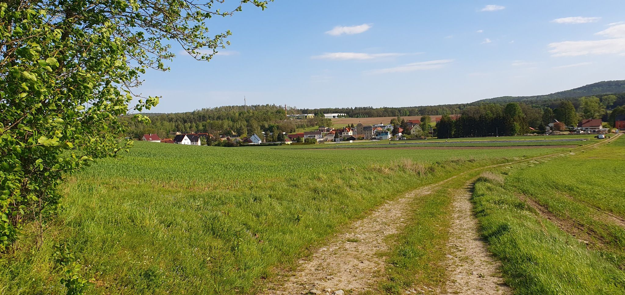 Häslich