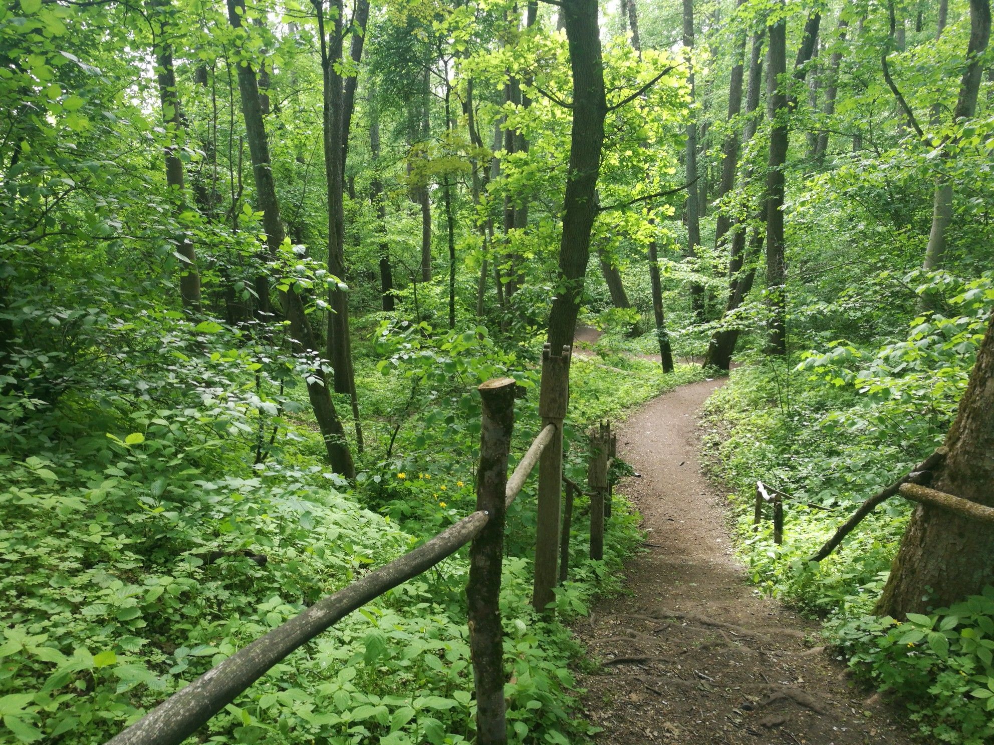 Wanderweg am Großen Stienitzsee