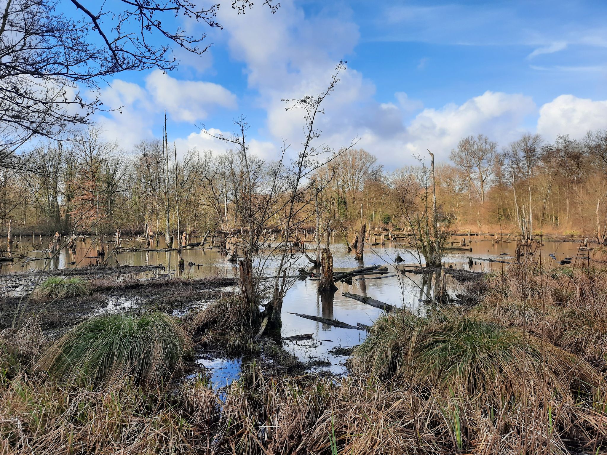 Schwalm Biotop