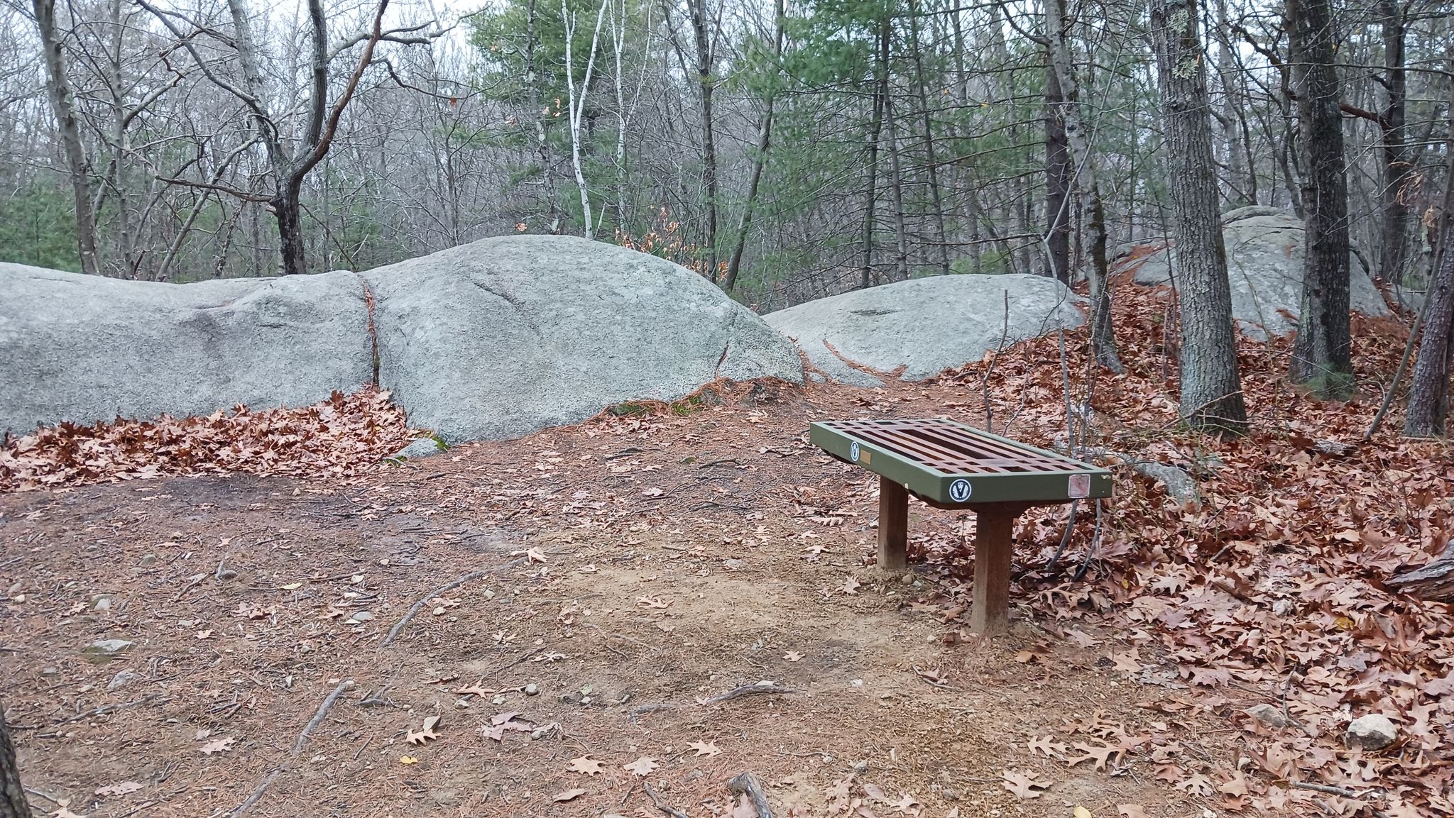 A wooden bench sits beside large boulders on a leaf-covered forest floor. - Common Hill Outer Loop