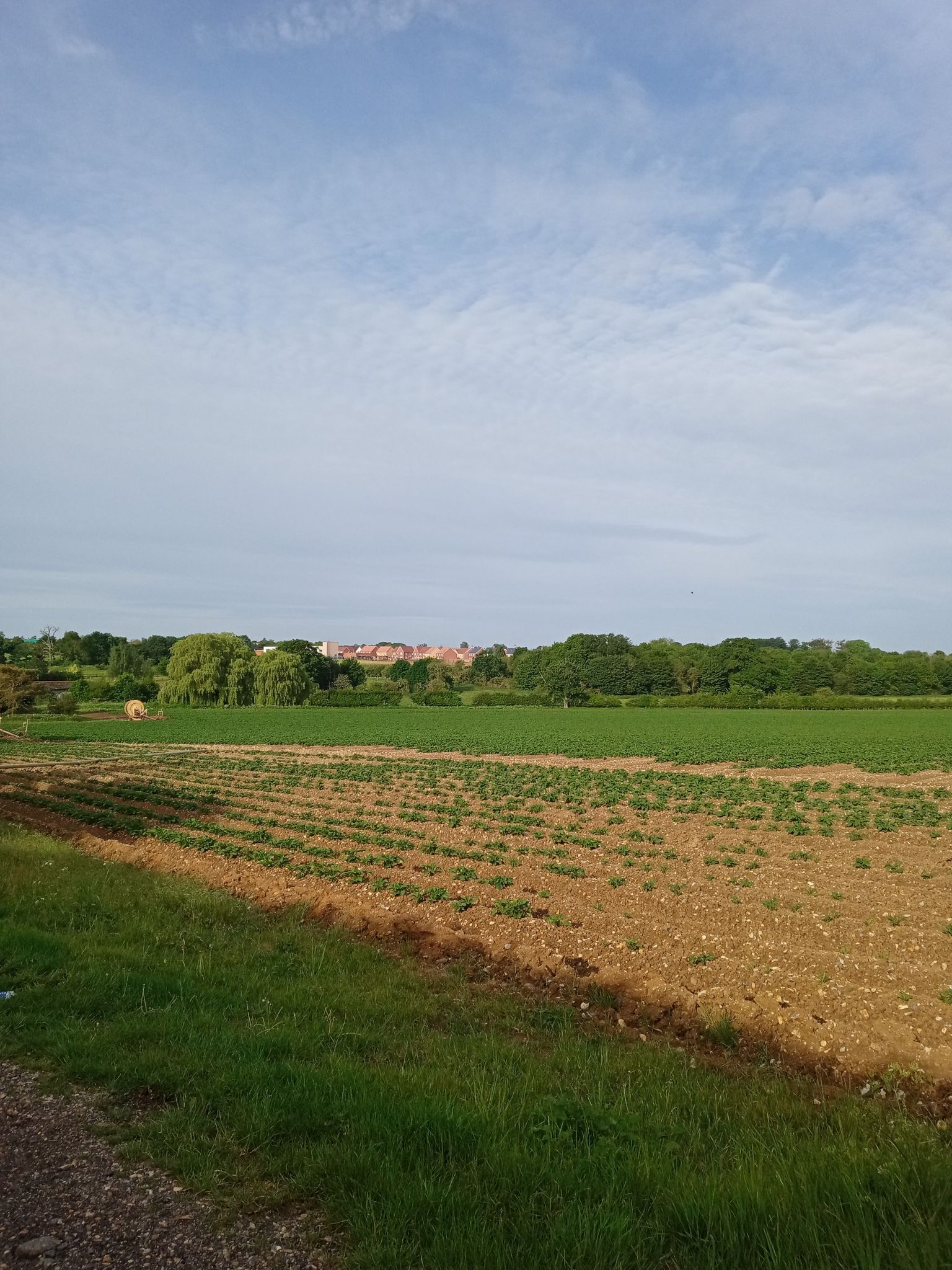 village view over field