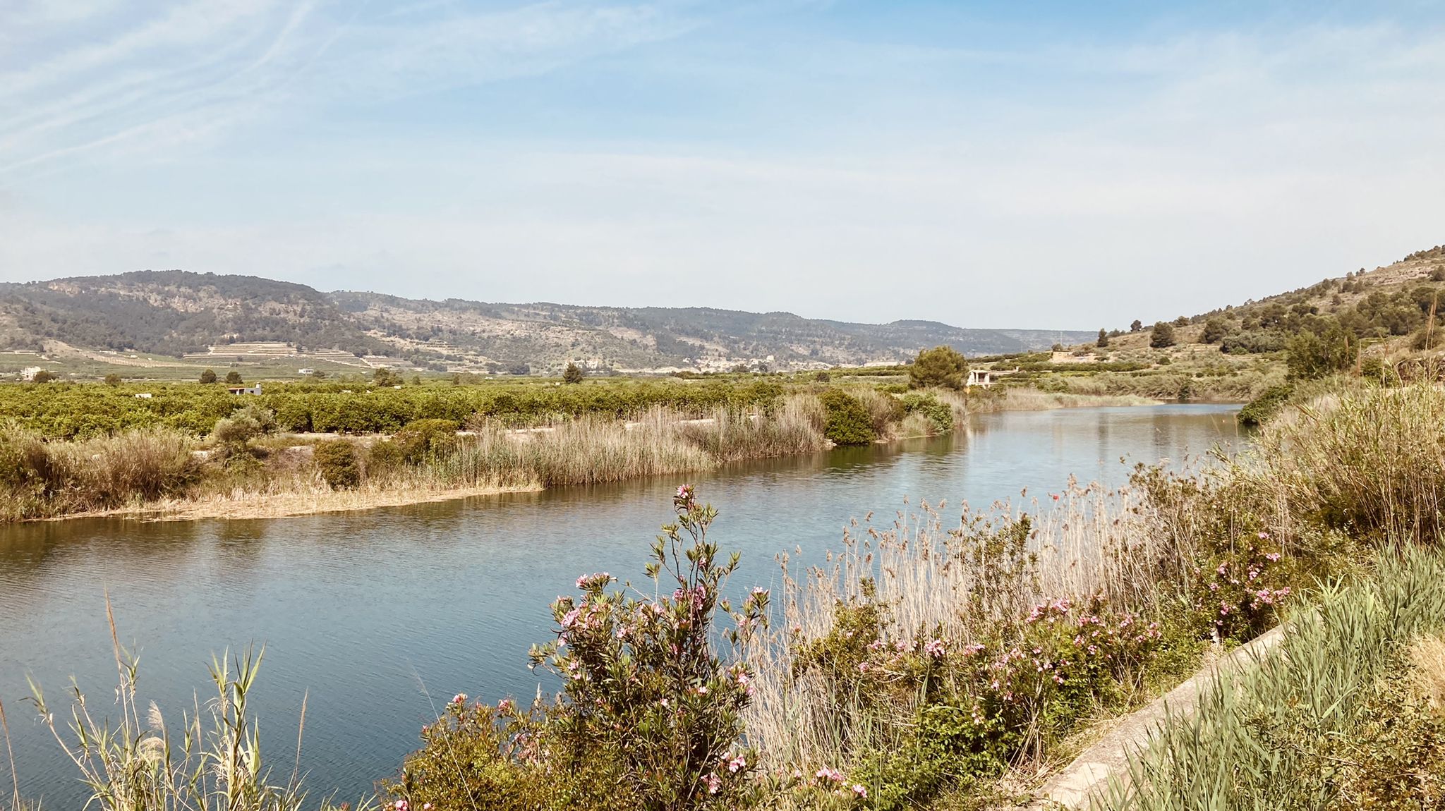 Rio Júcar (Xuquer)