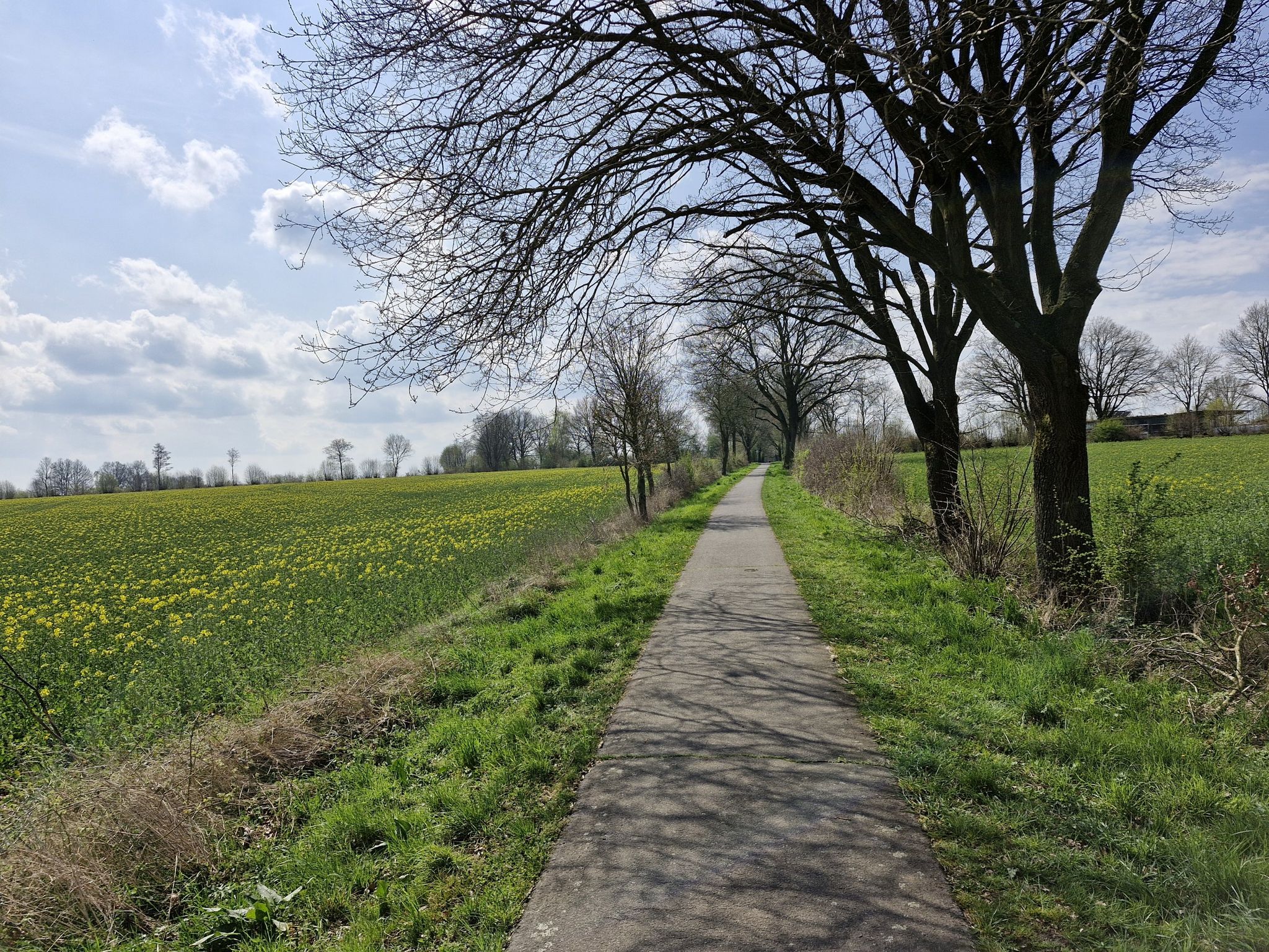 ...herrlich durch die blühenden Rapsfelder...