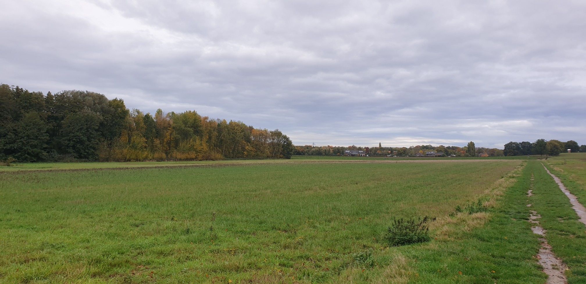 Felder
