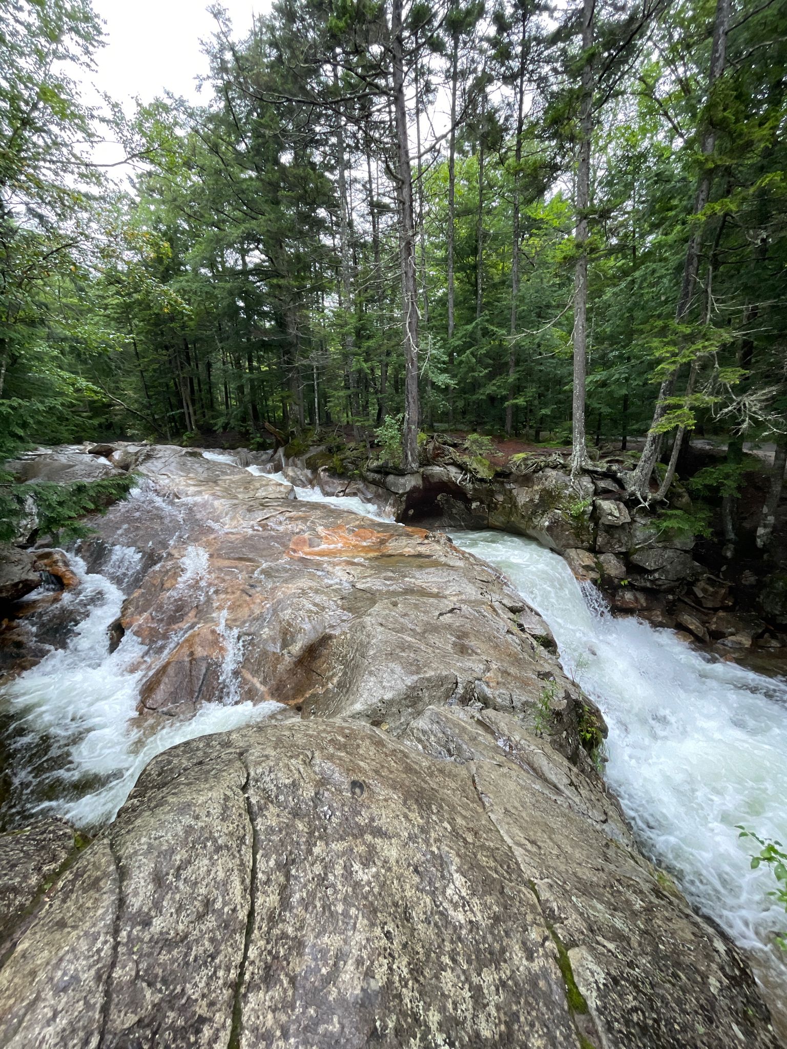 Rushing river flows over smooth rocks in a dense green forest. - Basin Cascades Trail