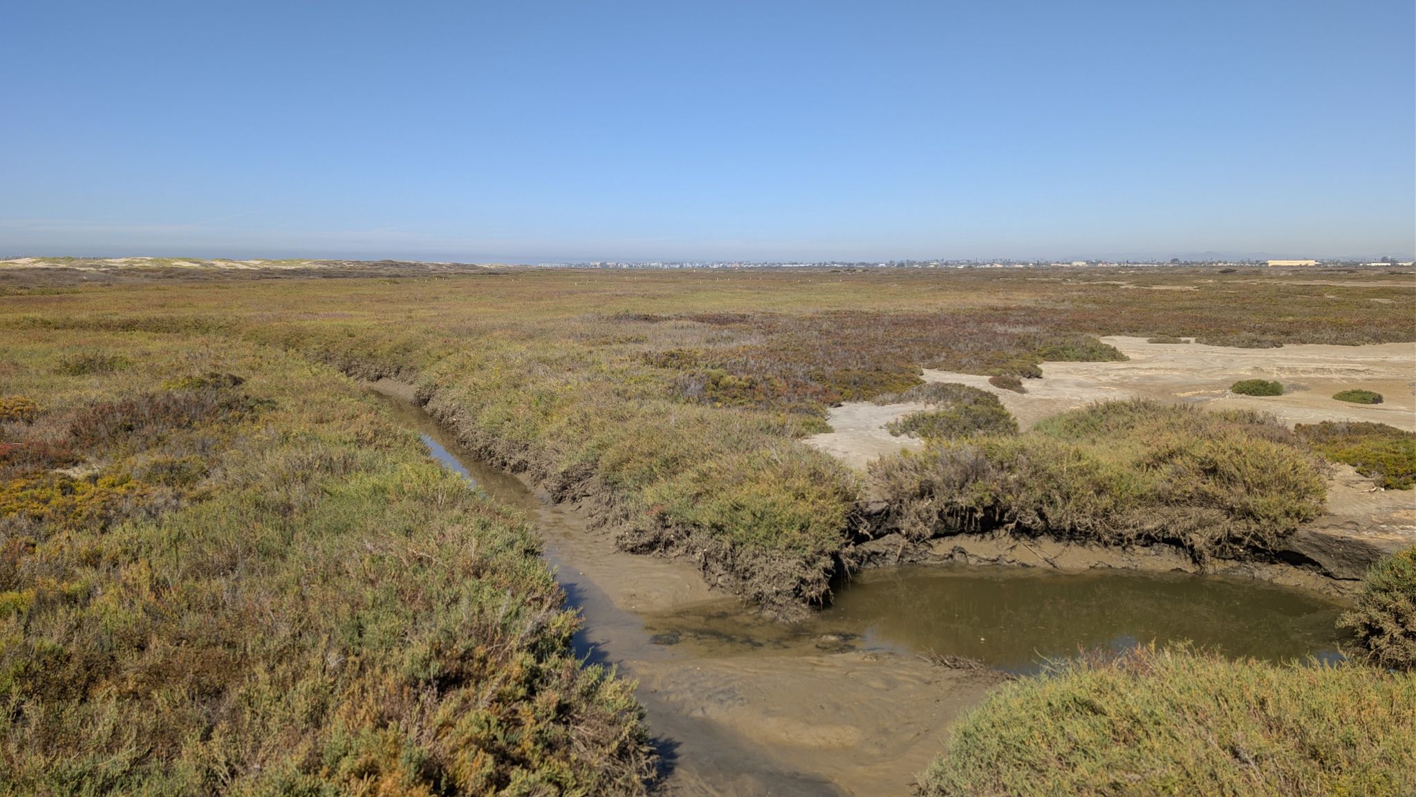 A winding stream flows through a vast, sunny marshland under a clear blue sky. - Imperial Beach via Beach Trail & California Coastal Trail