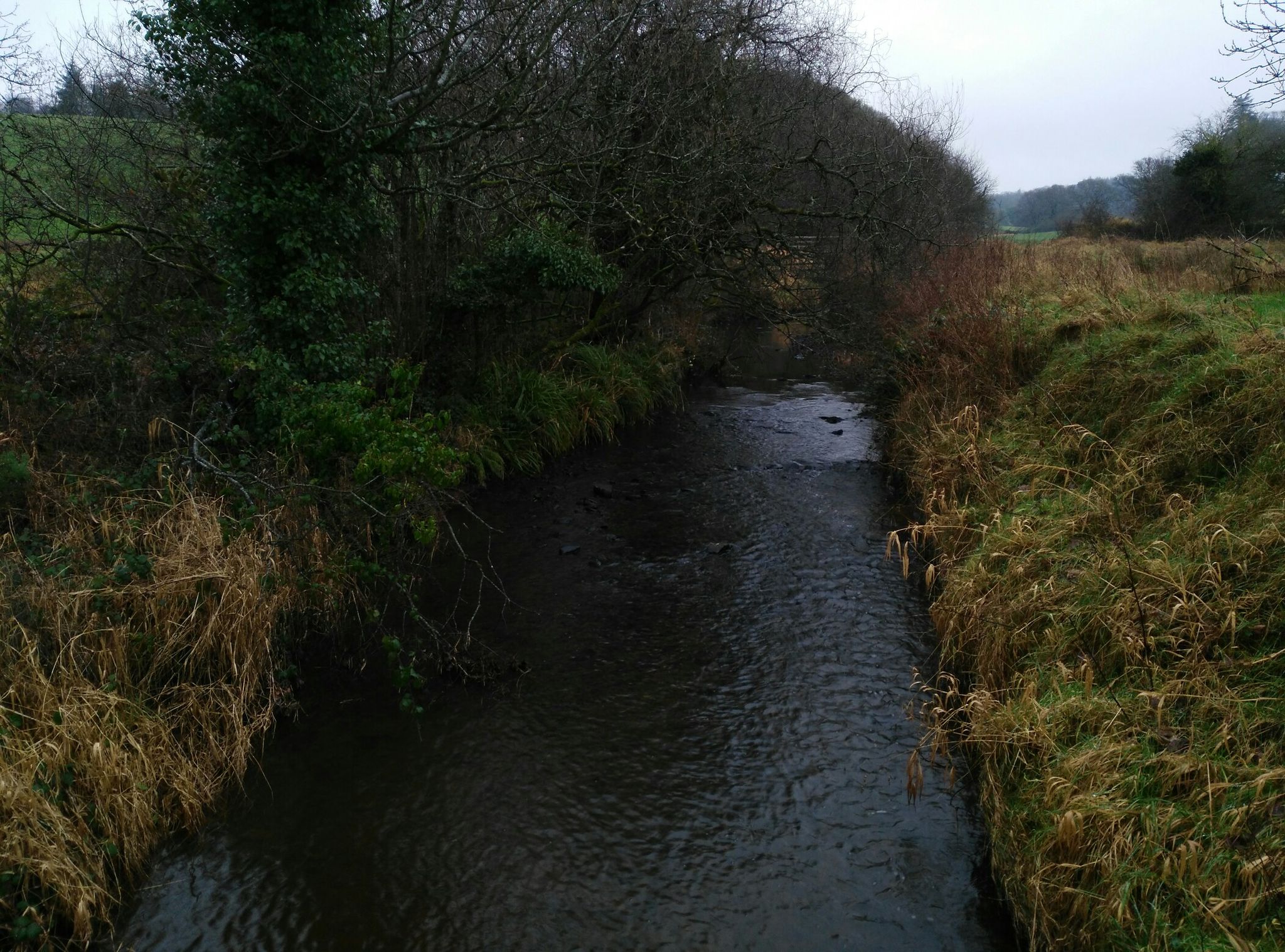 river