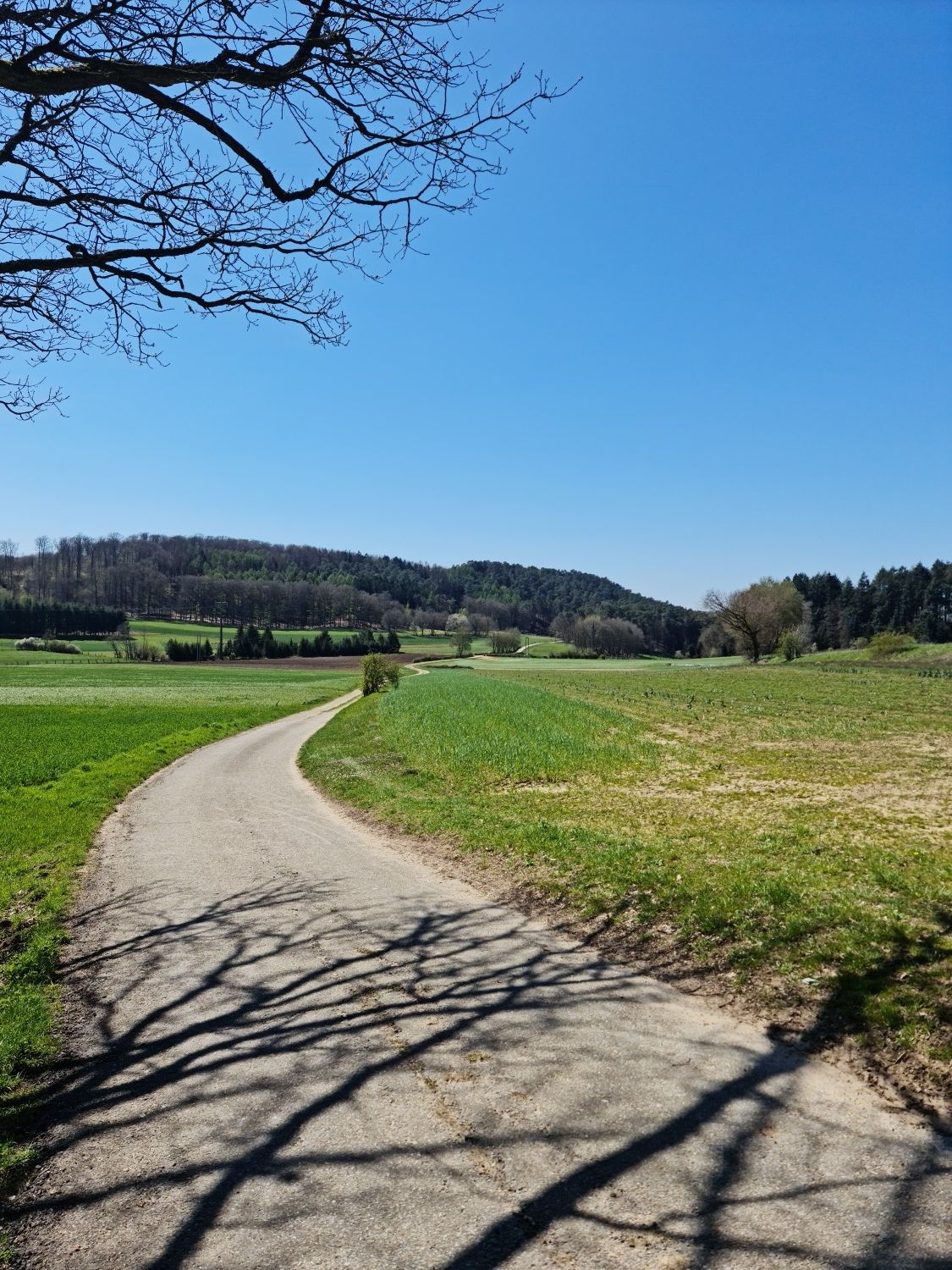 Openthalt 
