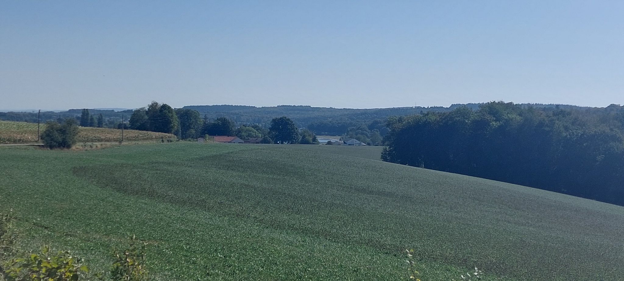 vue sur etang de bousey