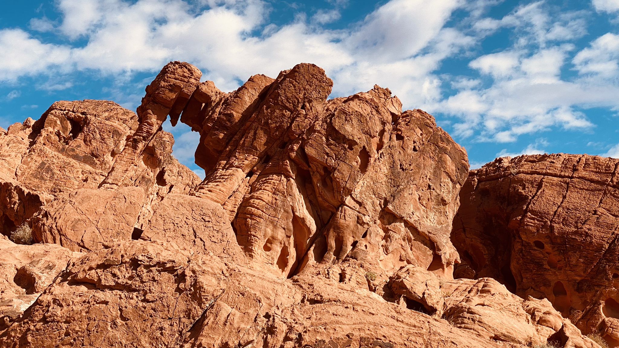 Red rock formation with a natural arch against a blue sky with clouds. - Elephant Rock Loop