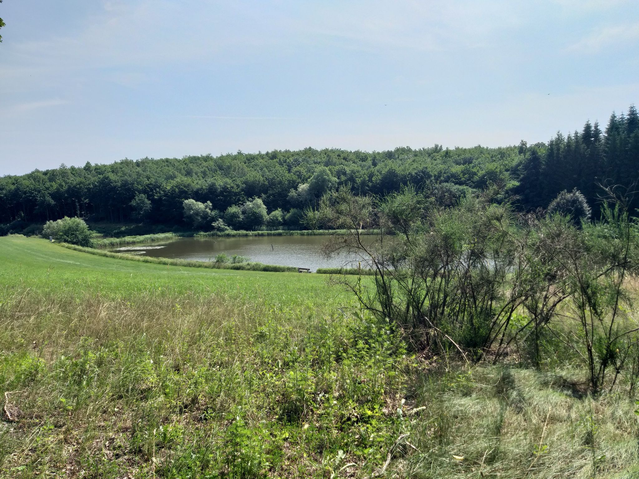 Sibbersdorfer See
