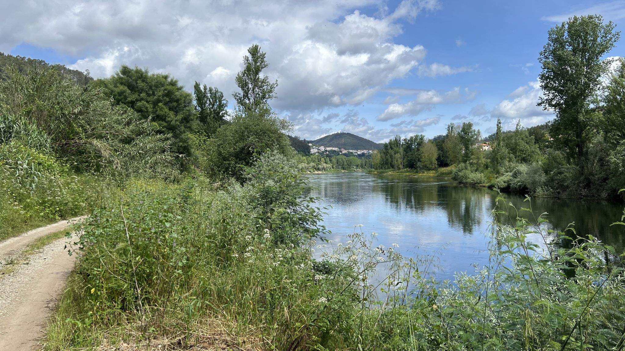 Mondego river path, approaching Penacova