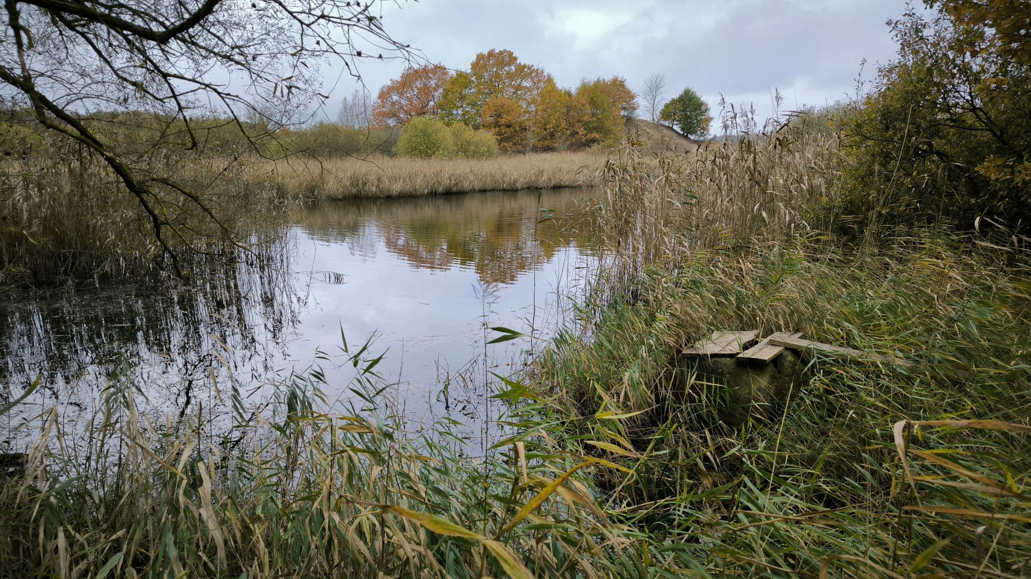 Richtung Peene