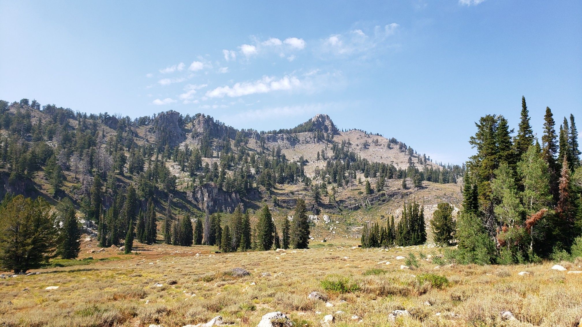 A wide mountain valley with a grassy meadow, scattered pines, and rocky peaks. - White Pine Lake loop from Site 1