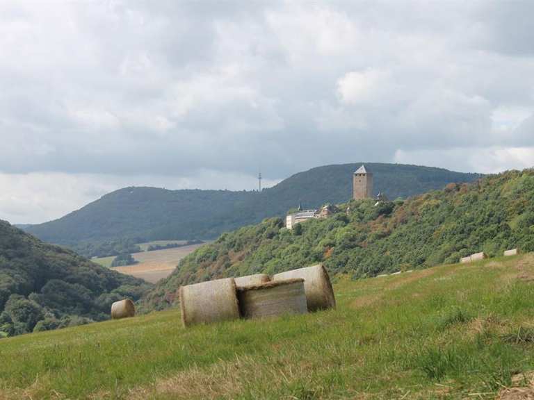 Familientour um die Burg Lichtenberg (Thallichtenberg) | Wanderung | Komoot