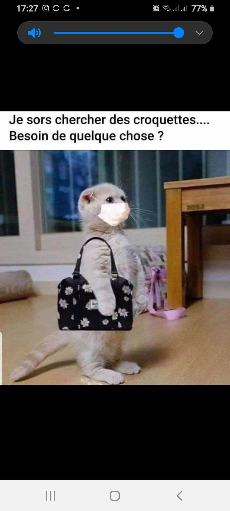 user avatar