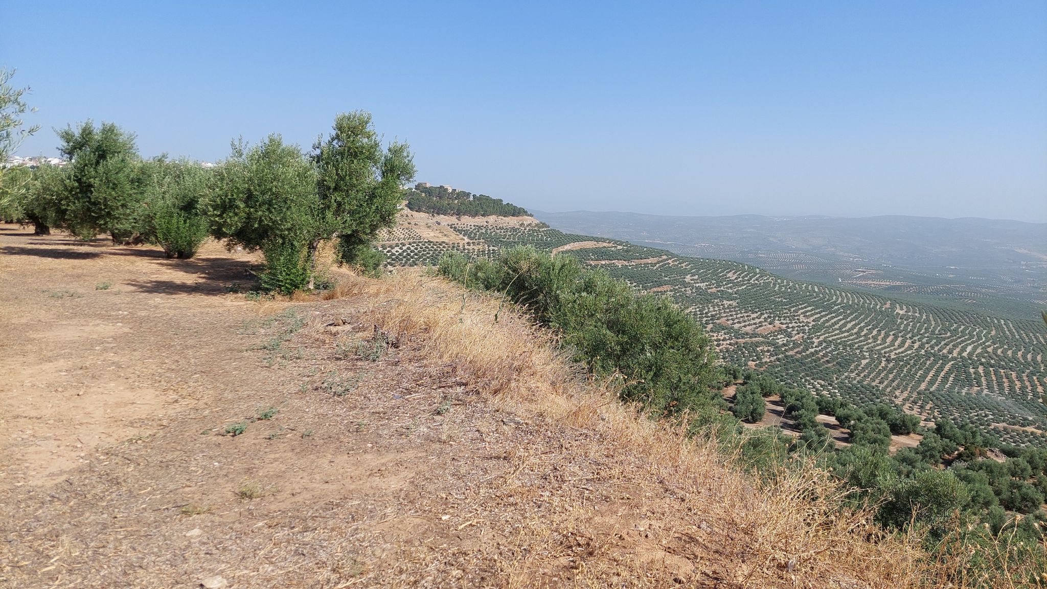 Vistas4