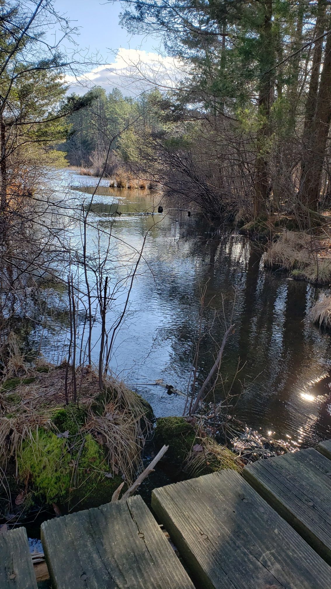 View from the first footbridge.