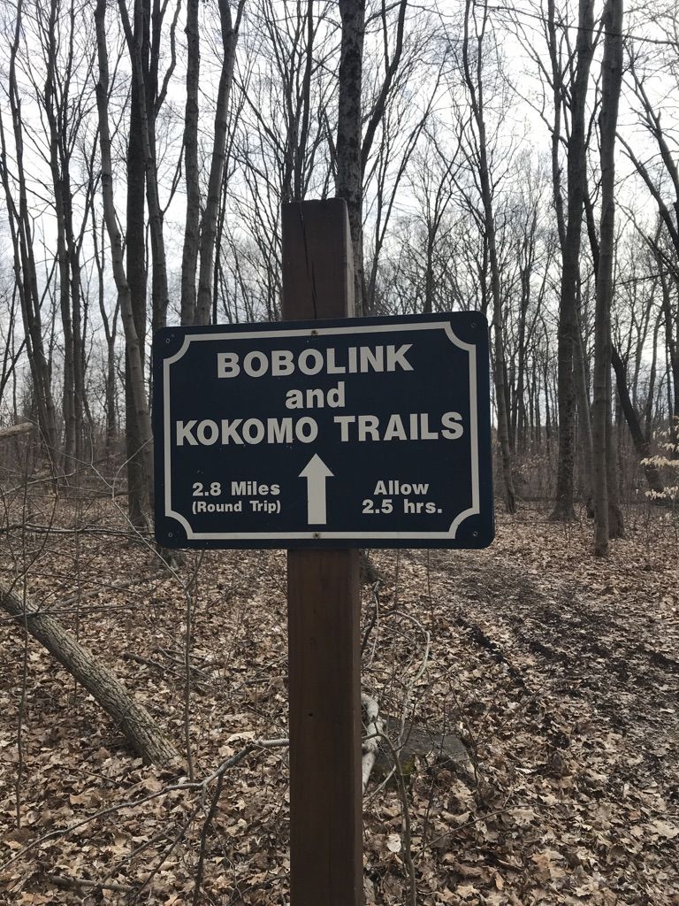 A trail sign stands in a bare forest, indicating path direction. - Bobolink Grassland Trail