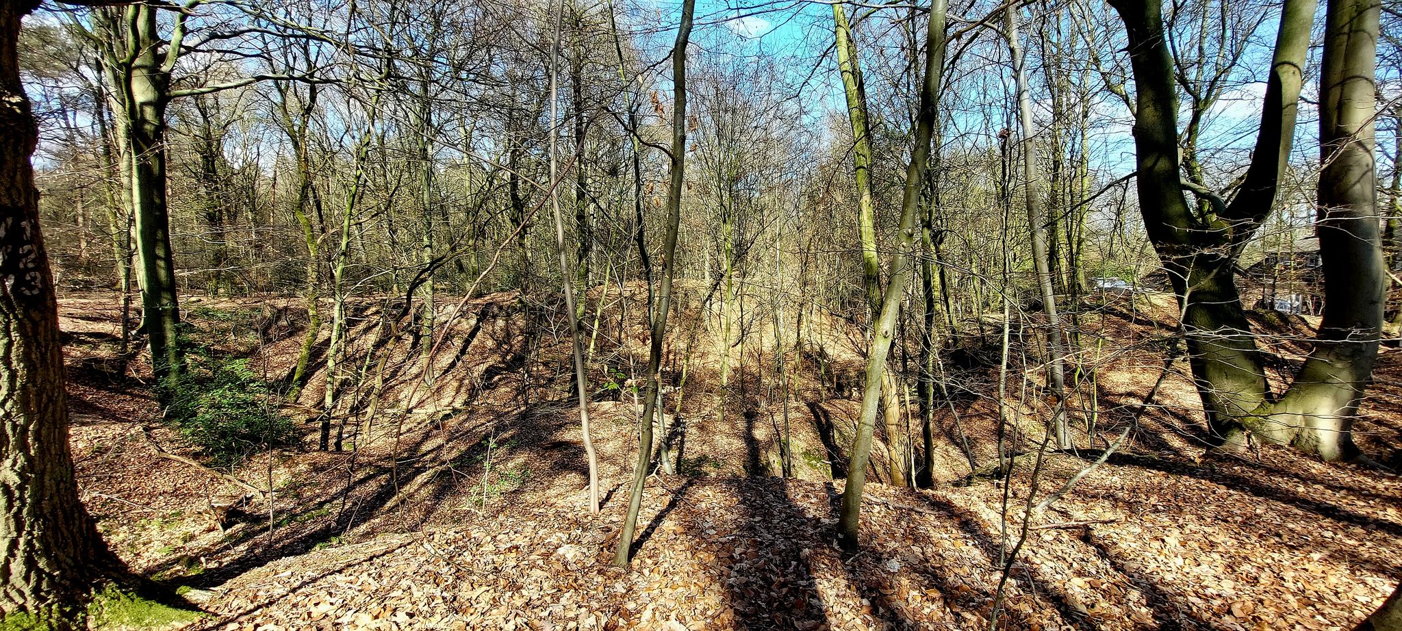 Ehemaliger Steinbruch