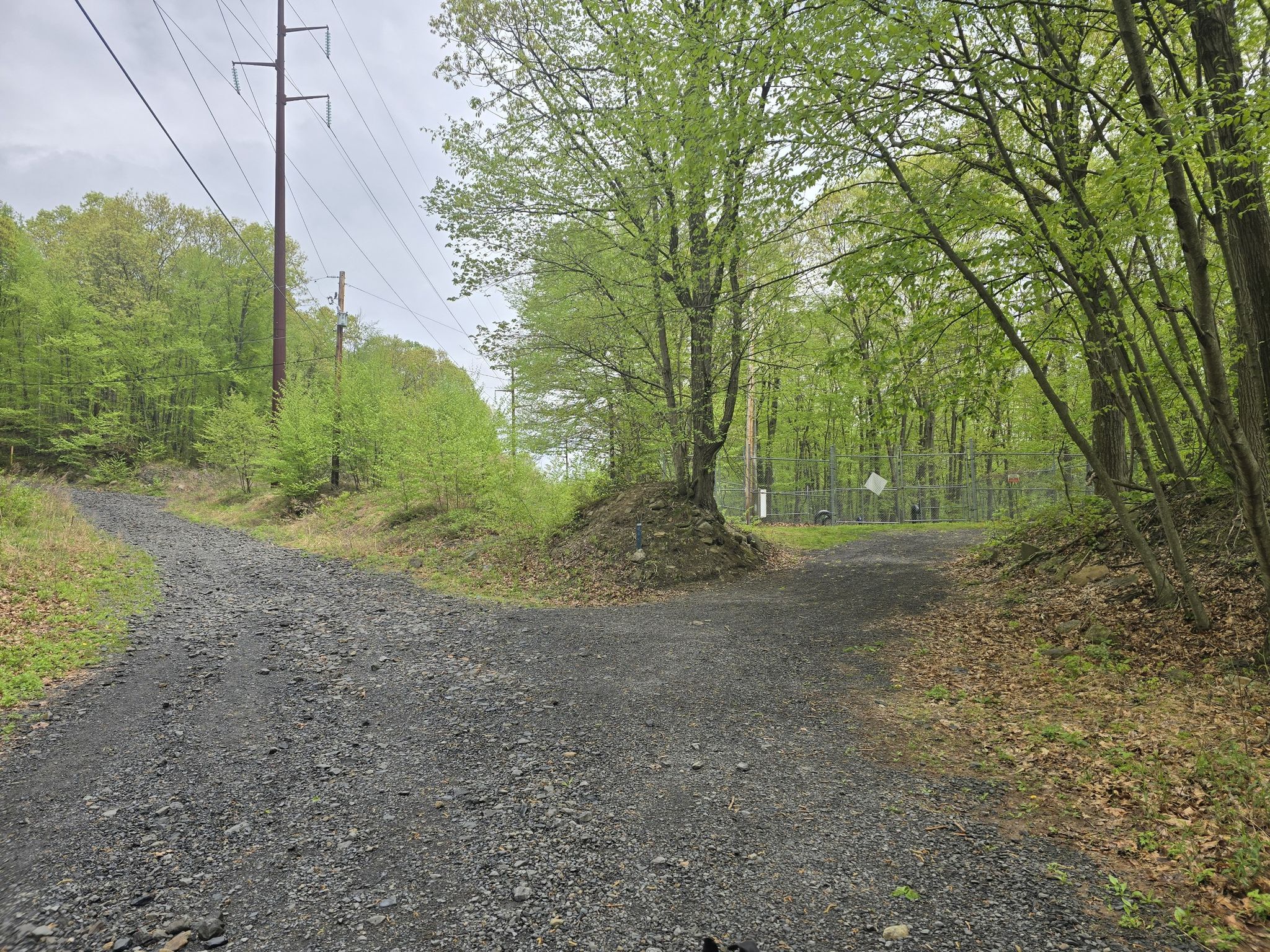 A fork in a gravel road through a wooded area with power lines. - Susquehanna and Lackawanna Rivers loop
