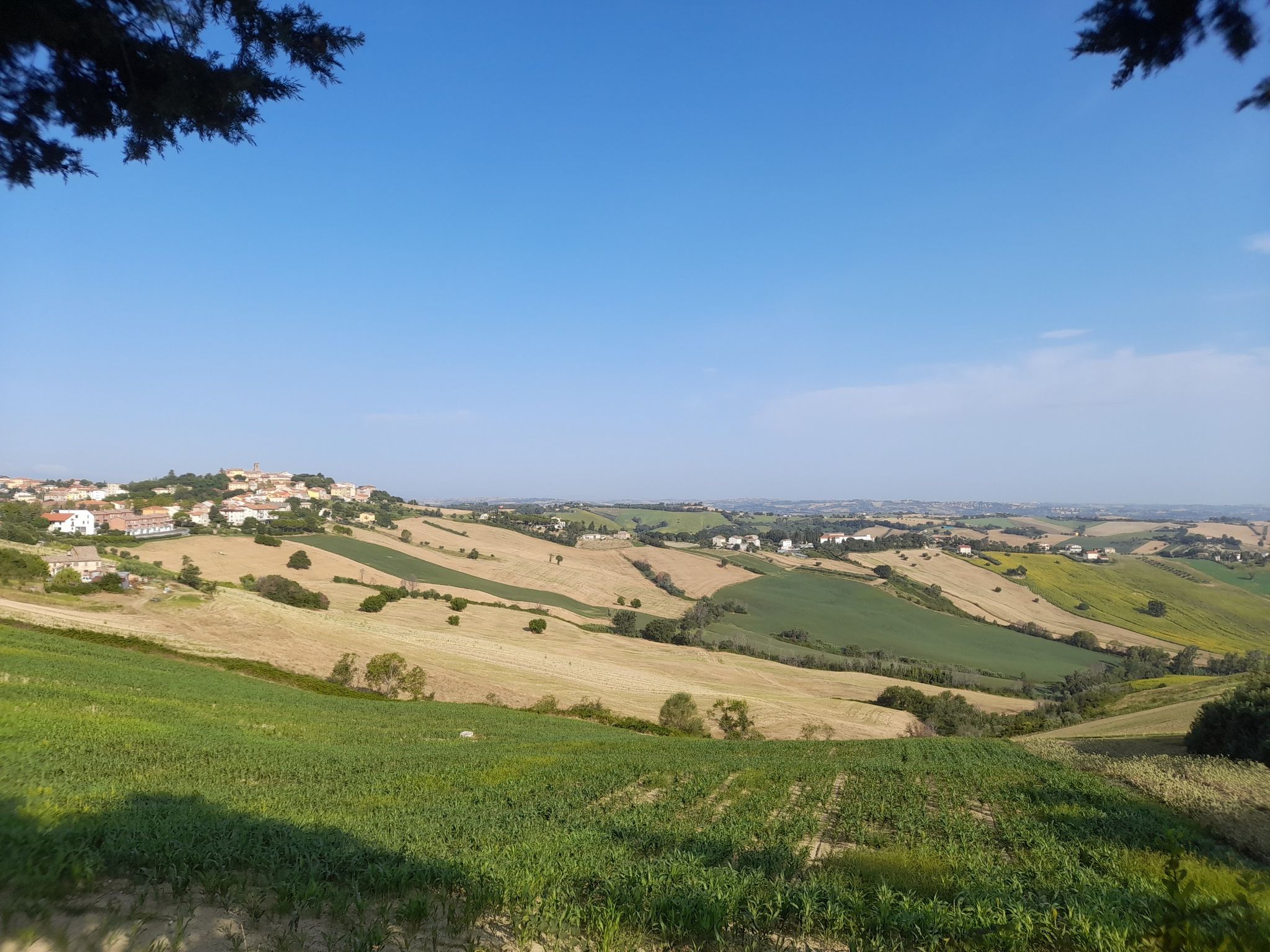 splendida