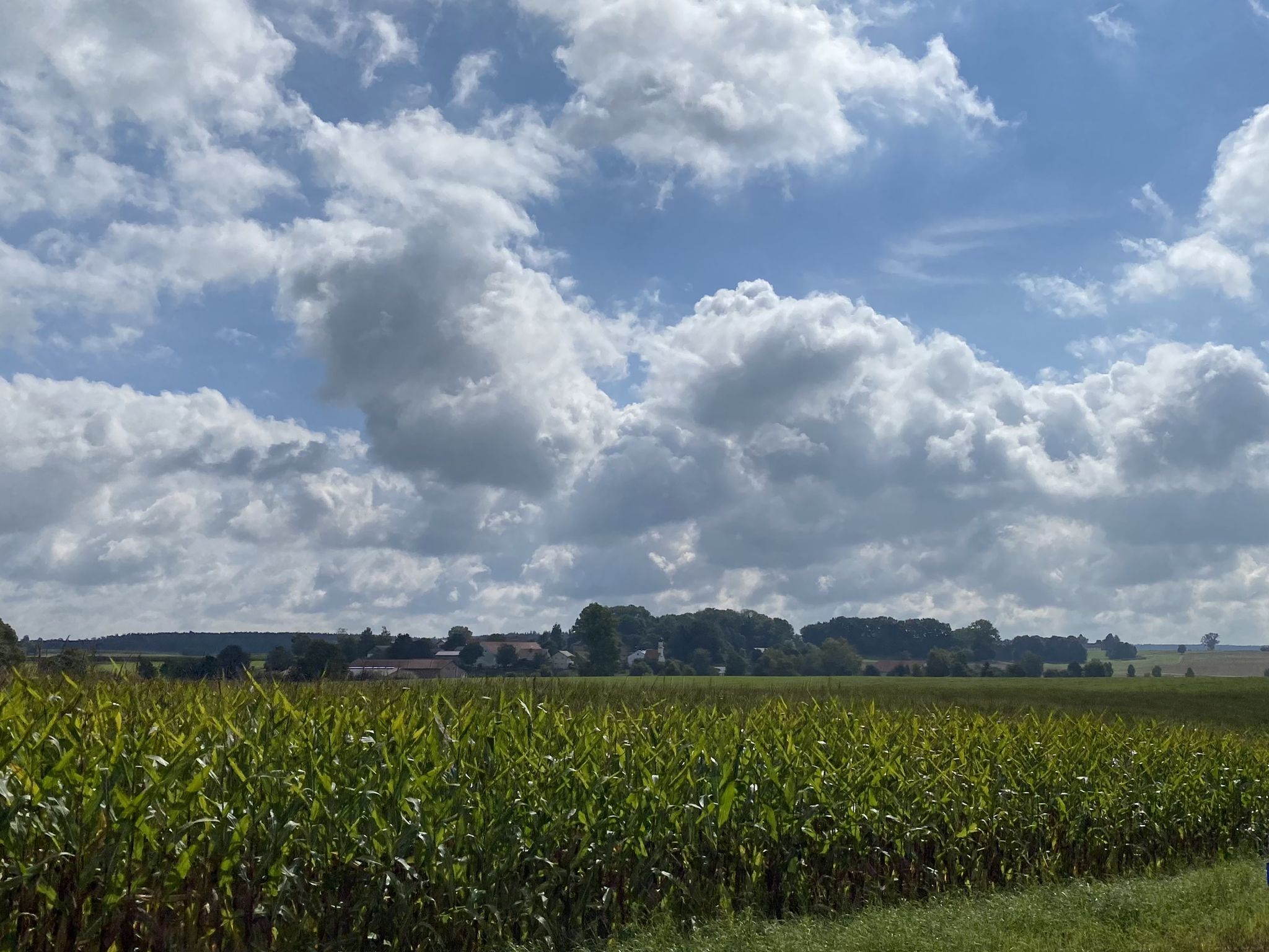 Schöne Landschaft..