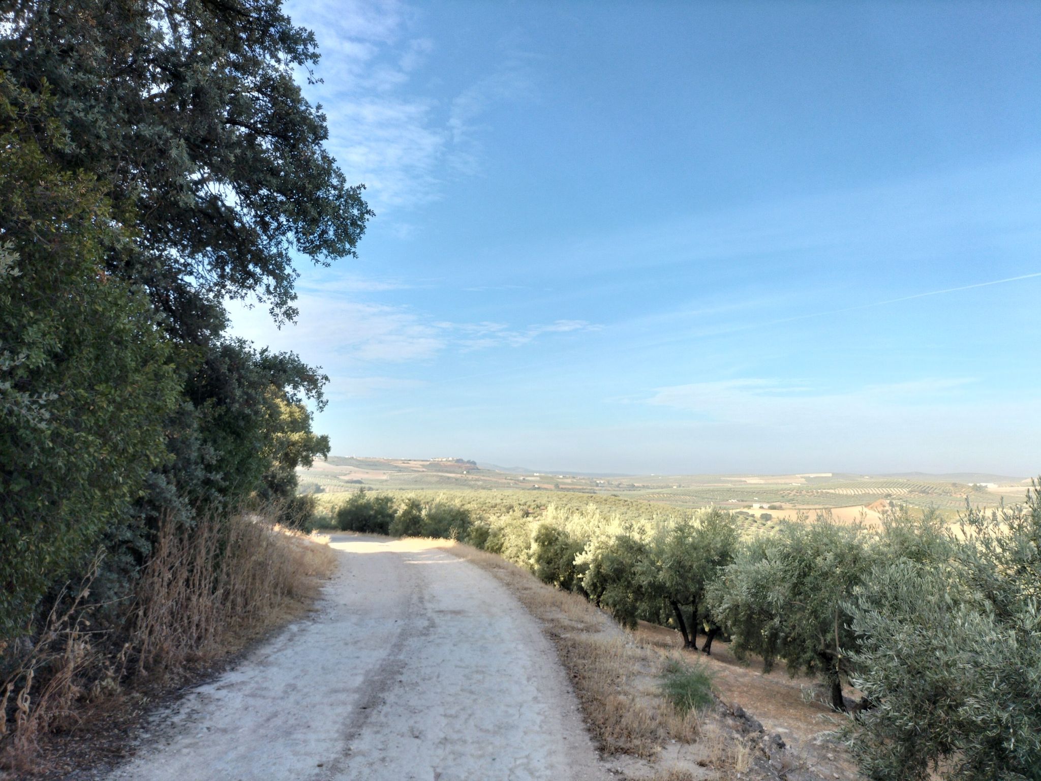Vista de Aguilar desde Las Useas