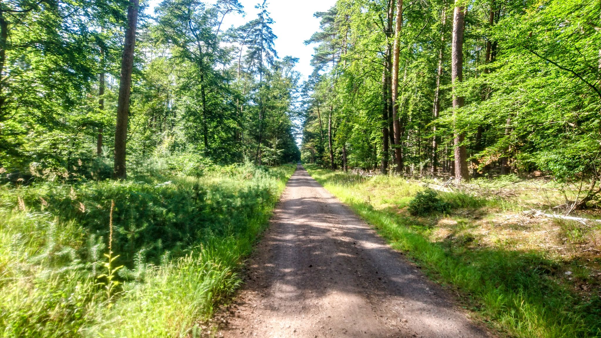Fahrradweg
